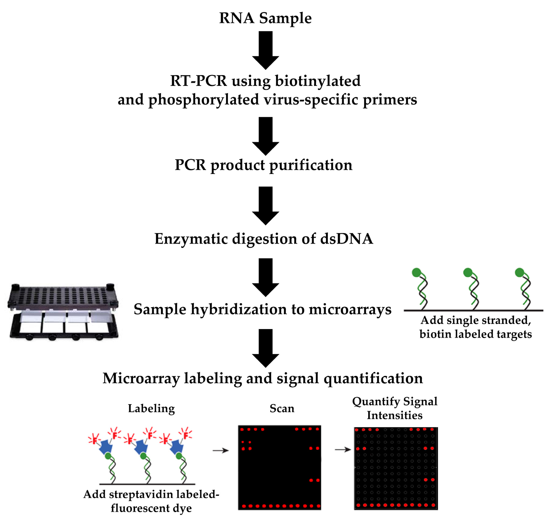 Sensors 17 02157 g003