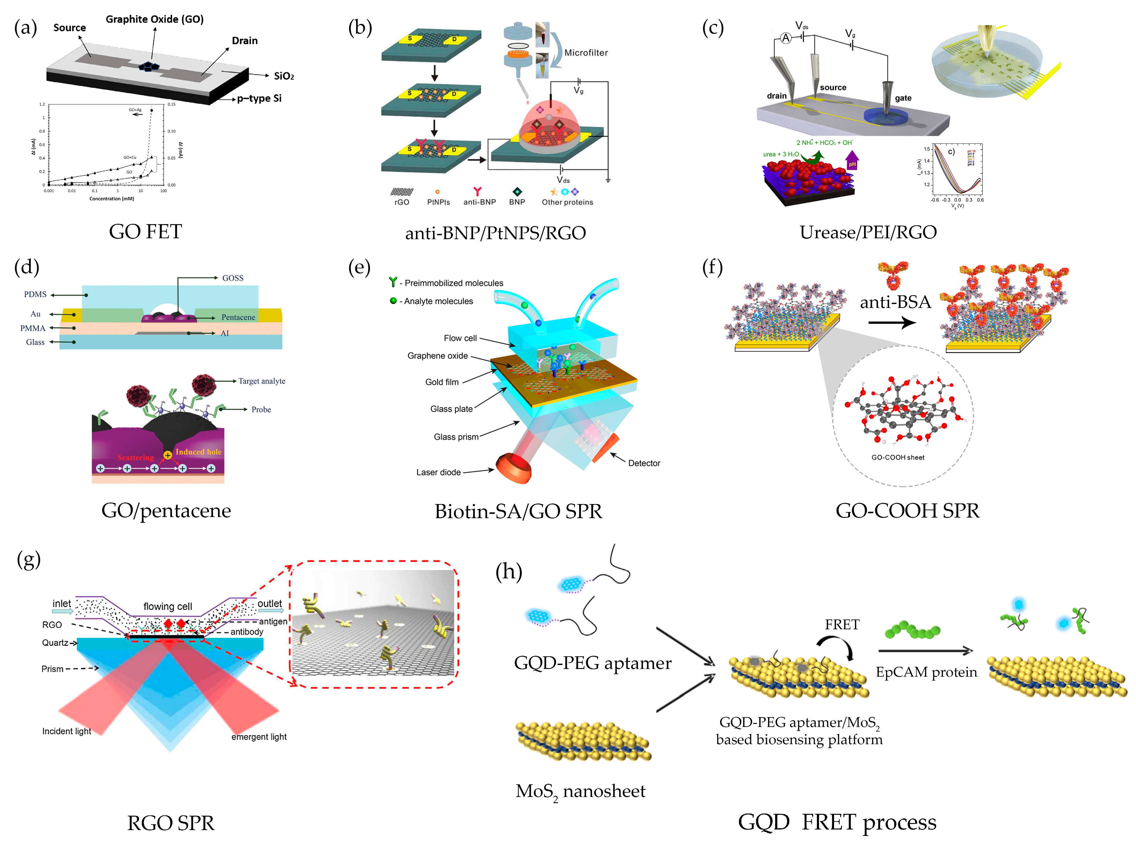Sensors 17 02161 g008