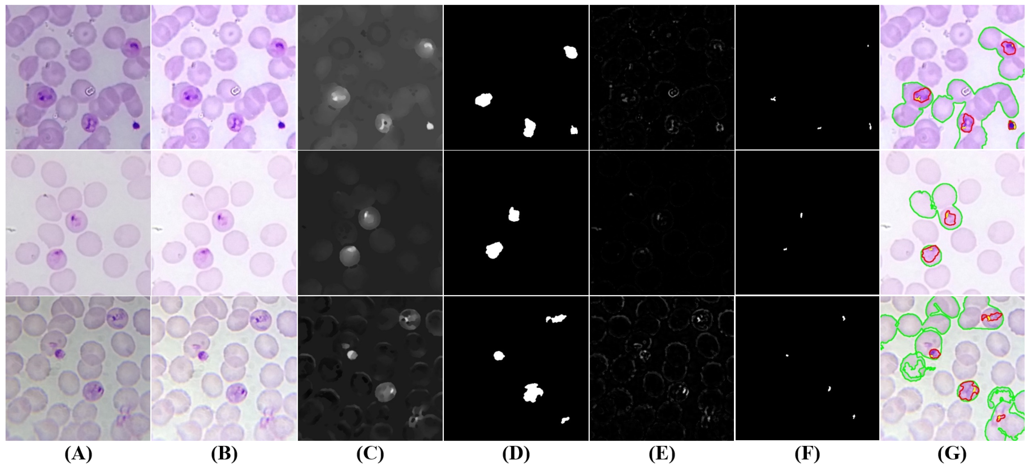 Sensors 17 02167 g008