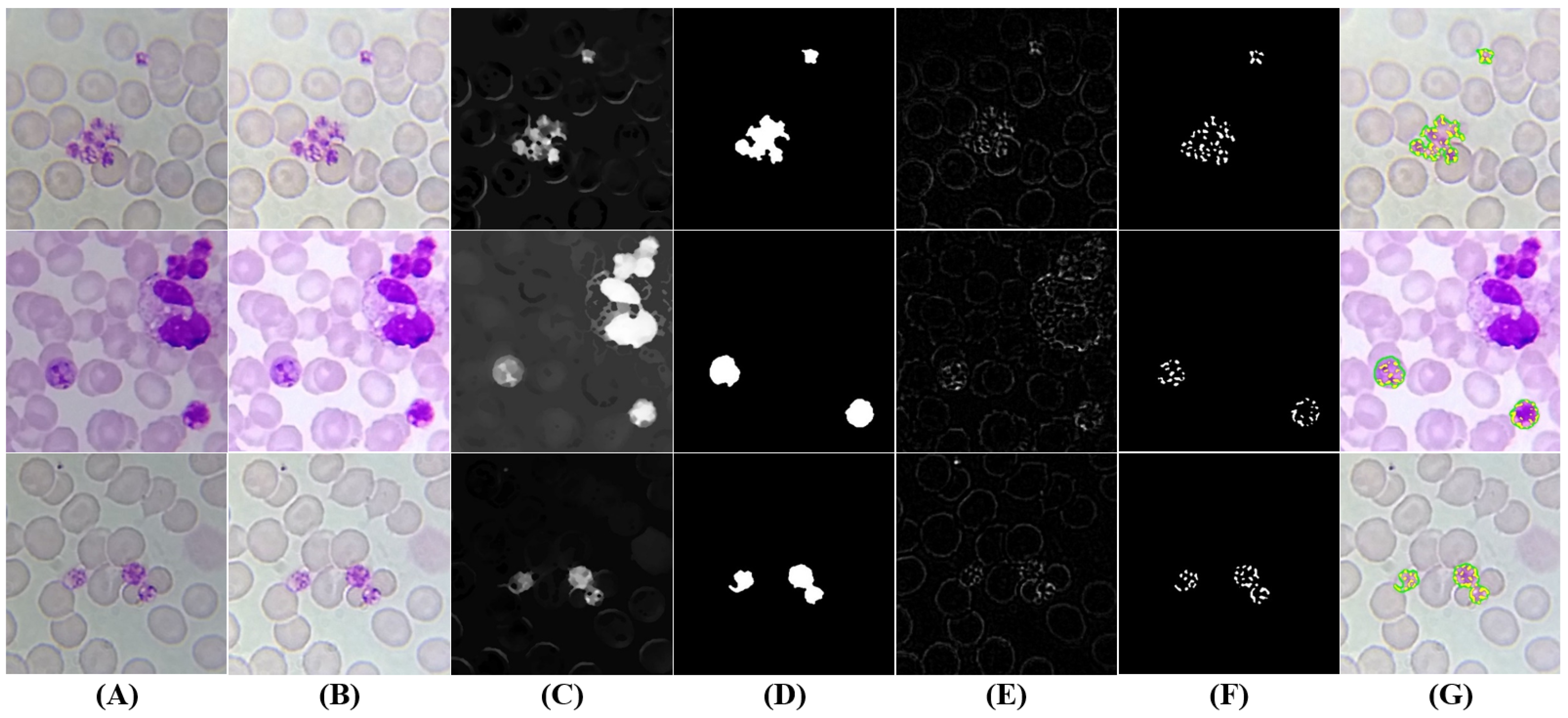 Sensors 17 02167 g009