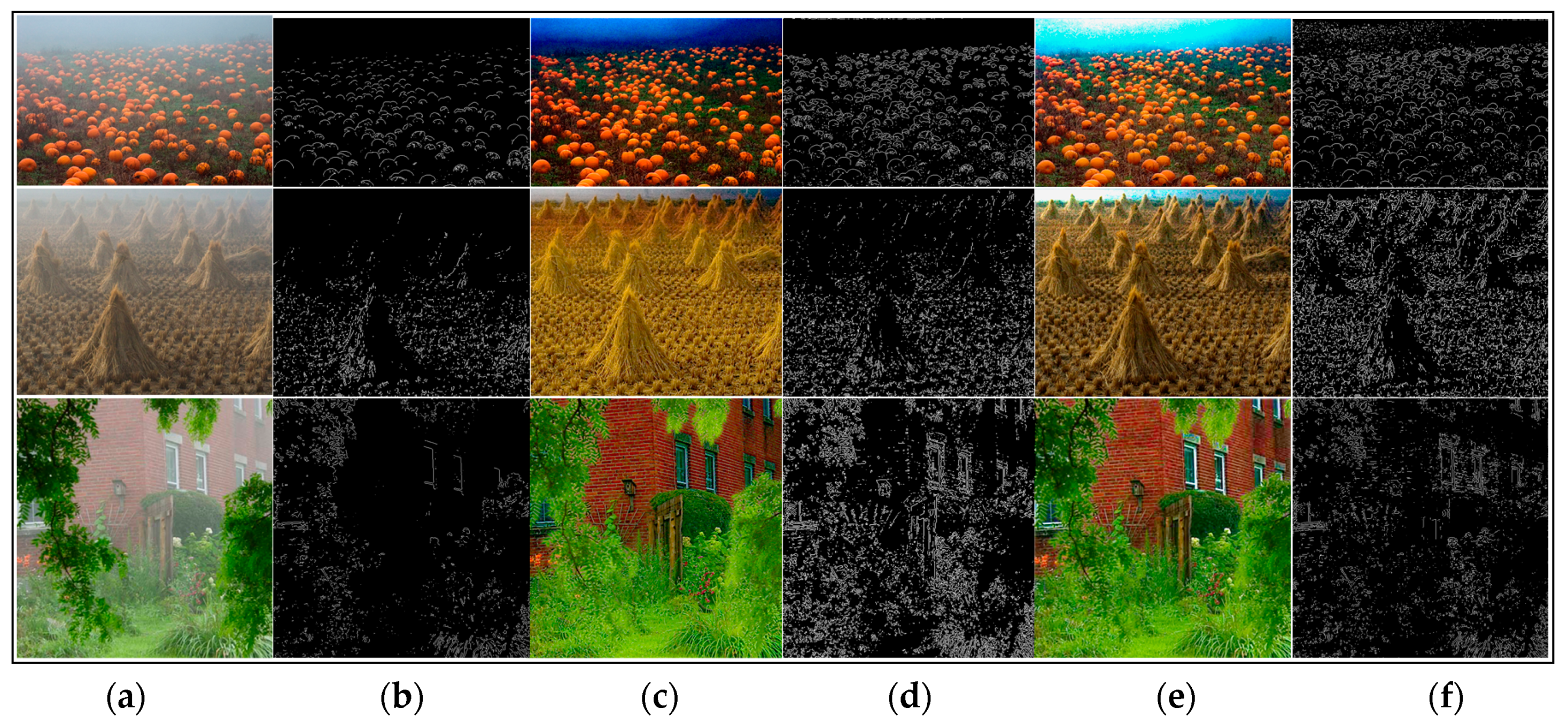 Sensors 17 02175 g007