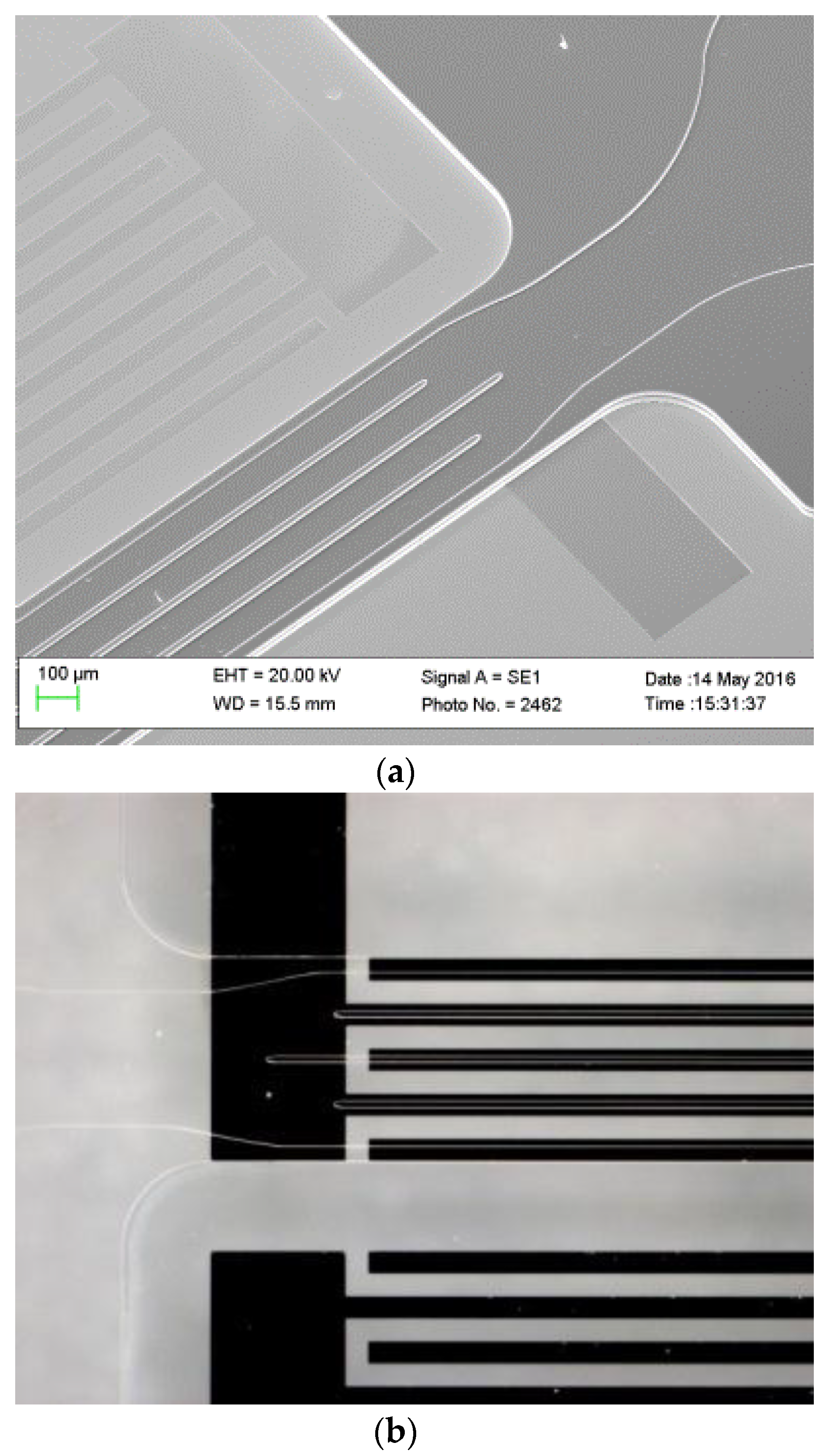 Sensors 17 02187 g002