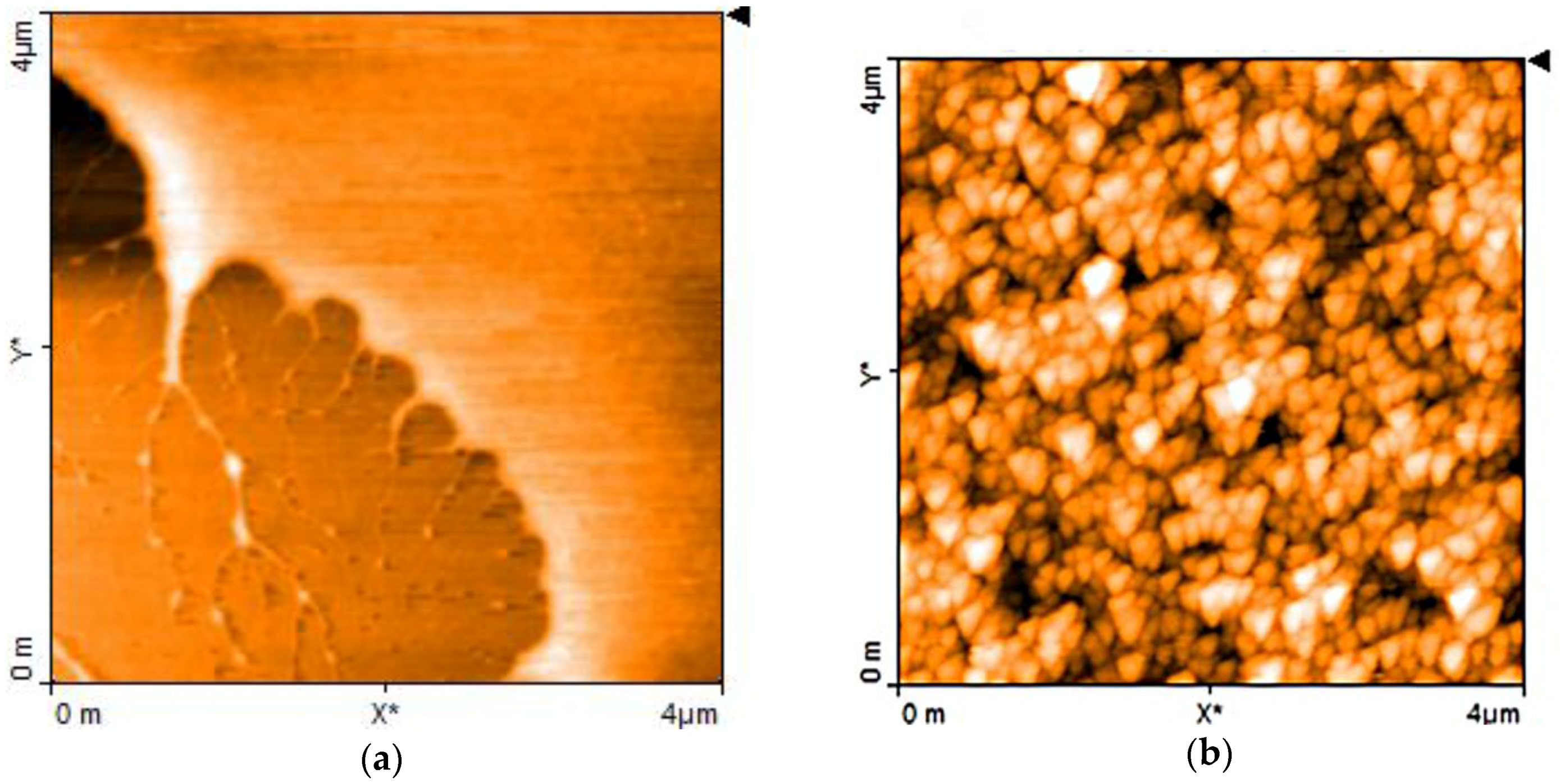 Sensors 17 02198 g002