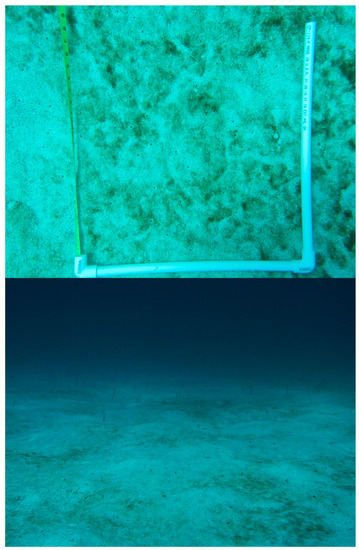 Sensors 17 02248 g023 550