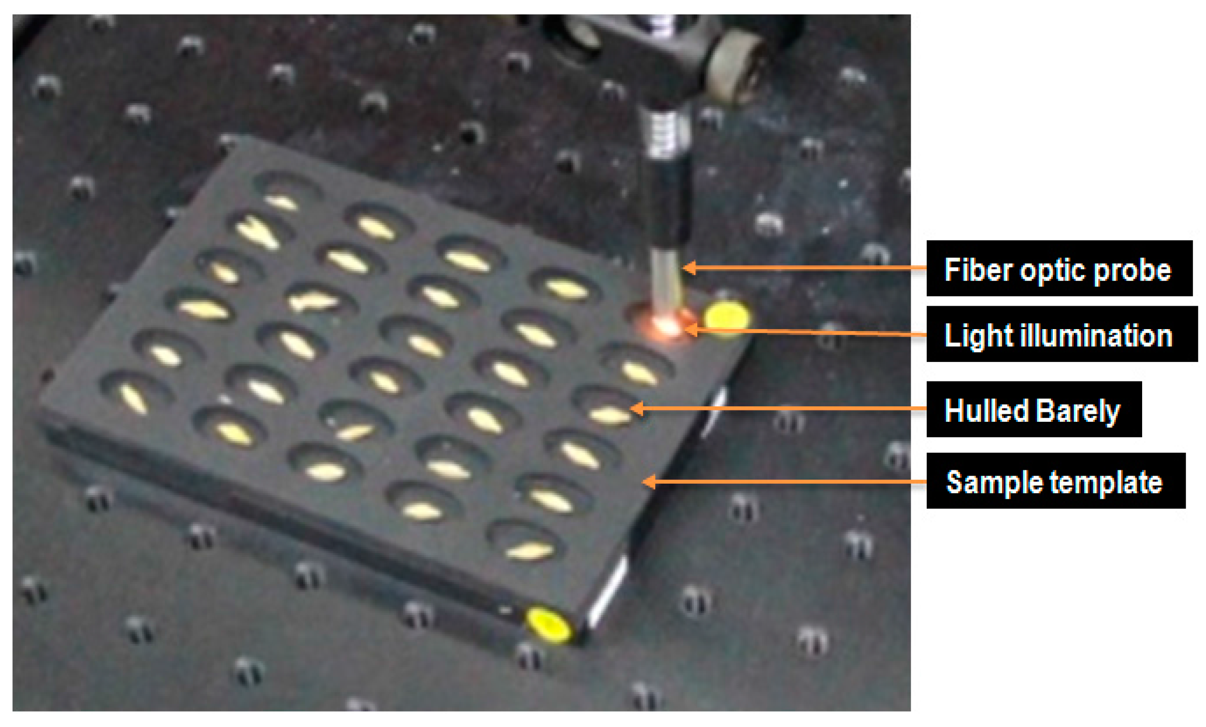 Sensors 17 02258 g004