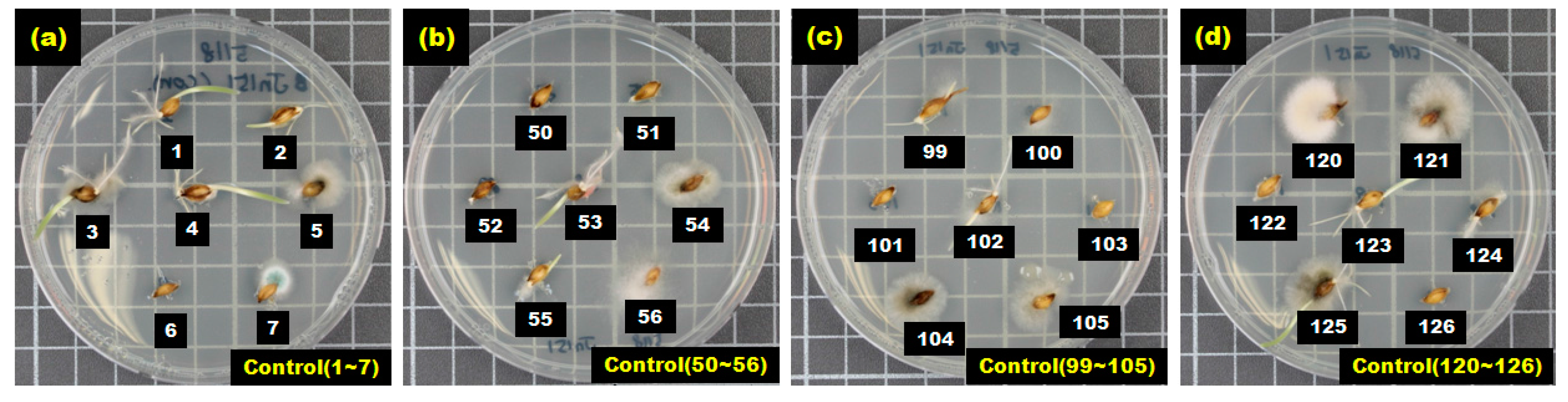 Sensors 17 02258 g005