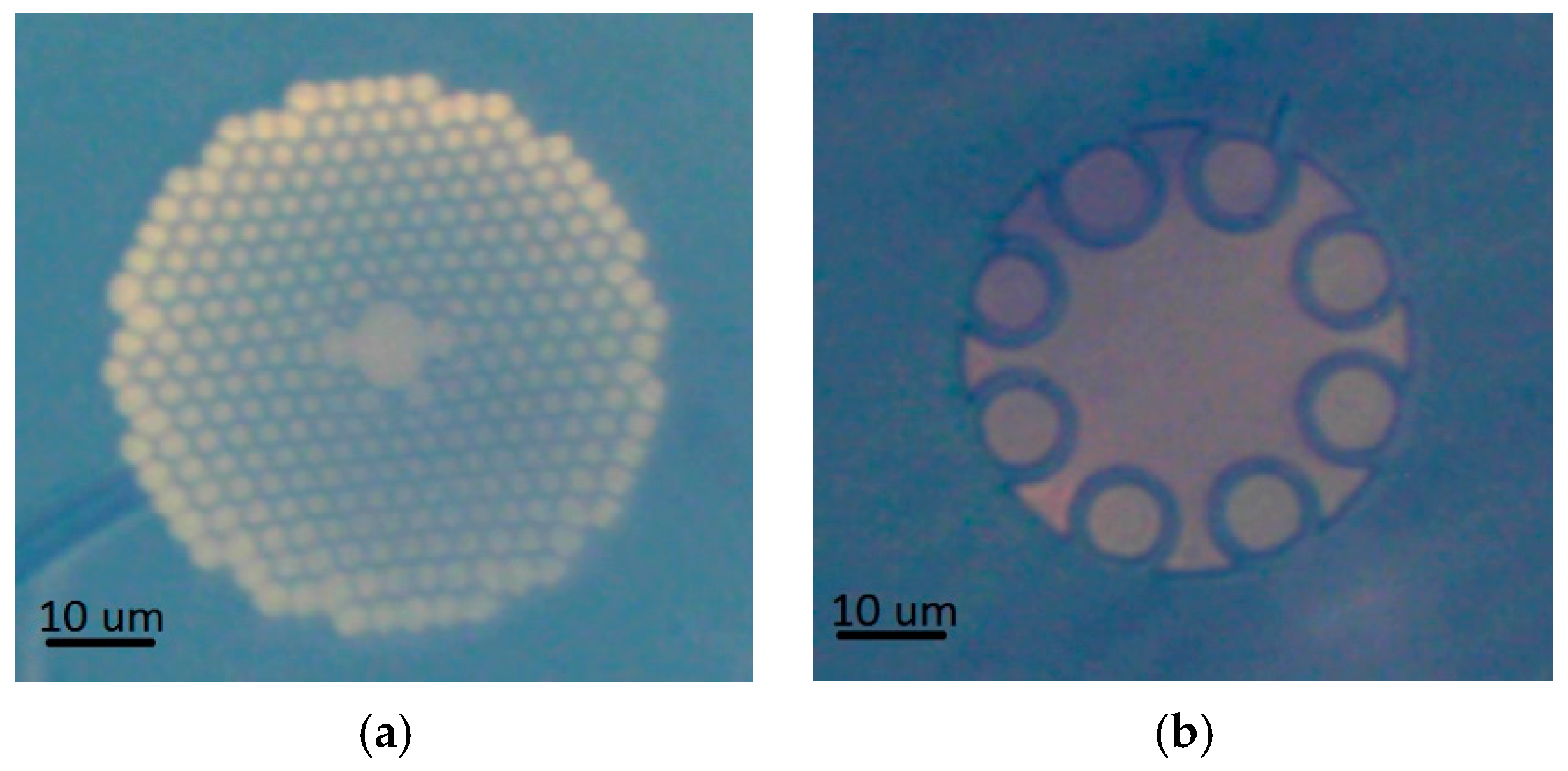 Sensors 17 02278 g001