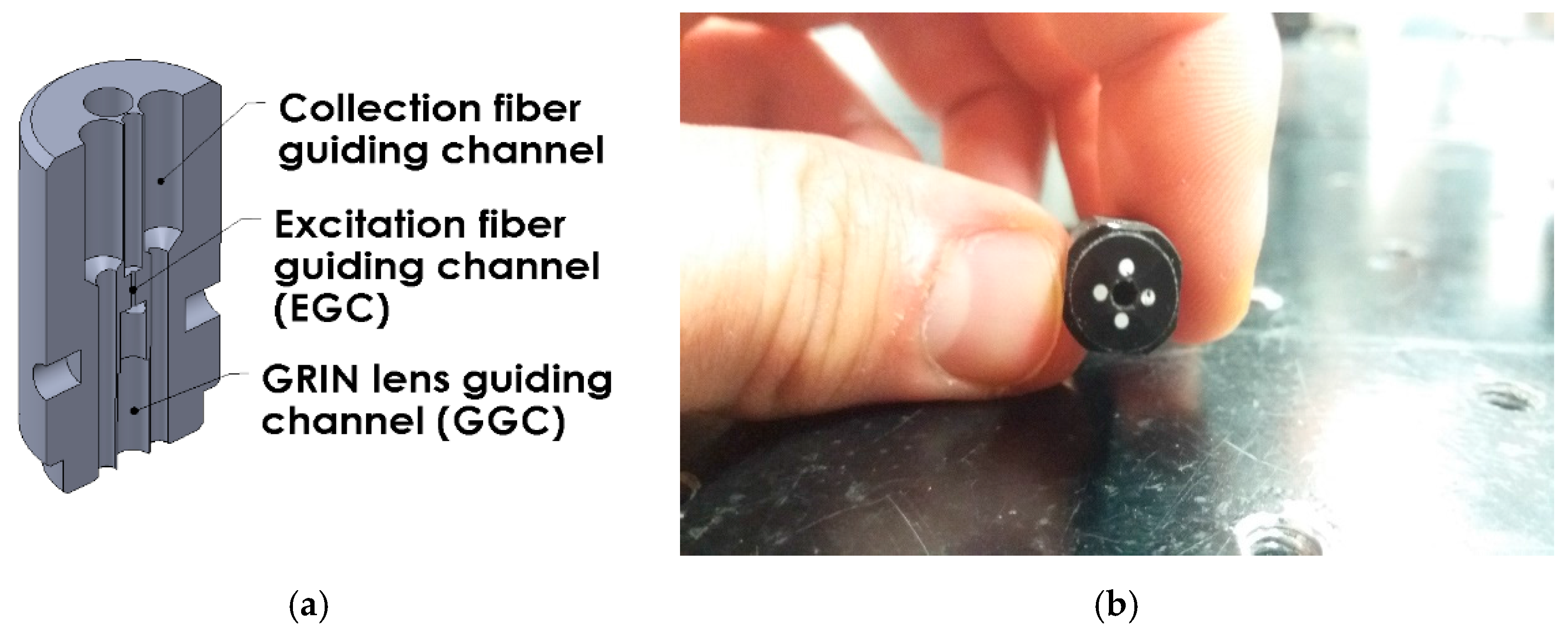 Sensors 17 02278 g002