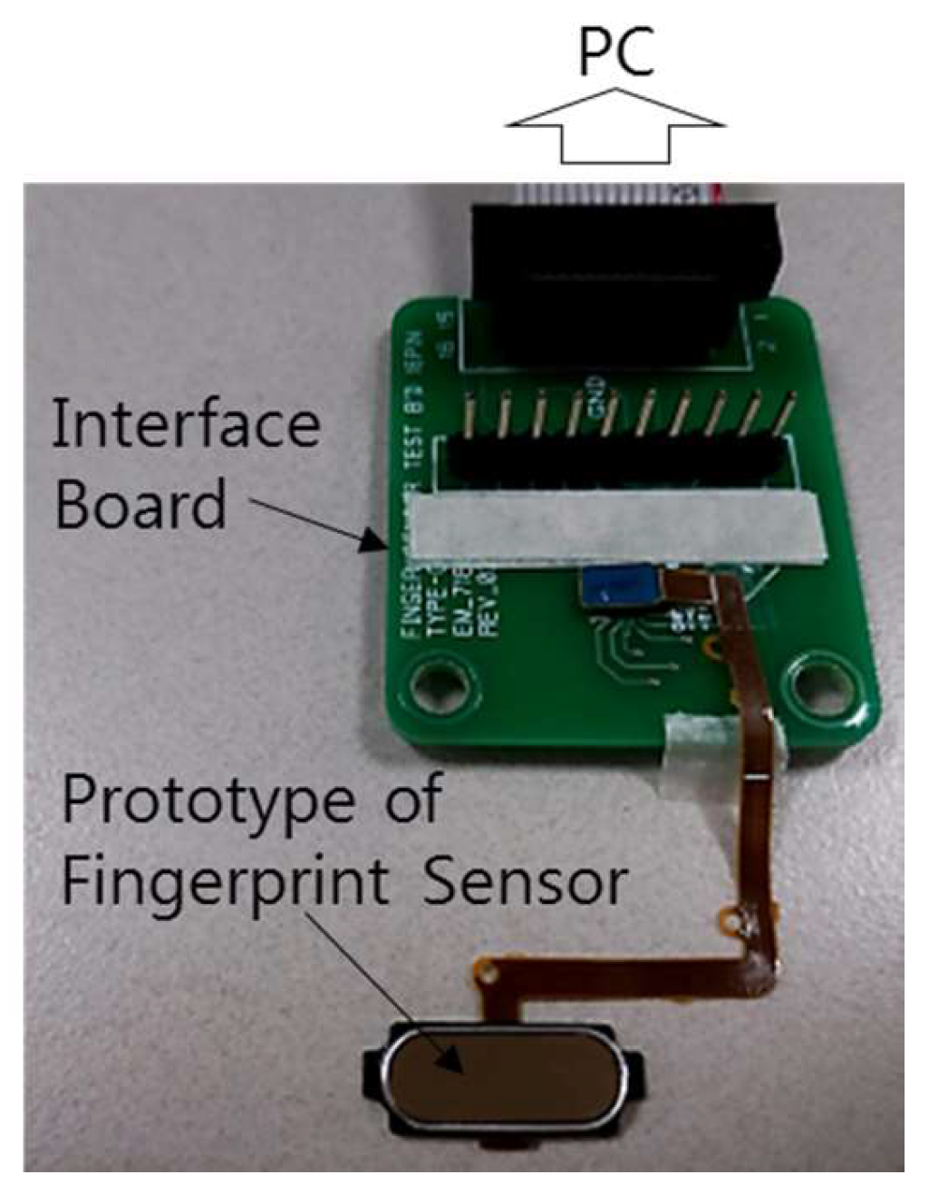 Sensors 17 02280 g009