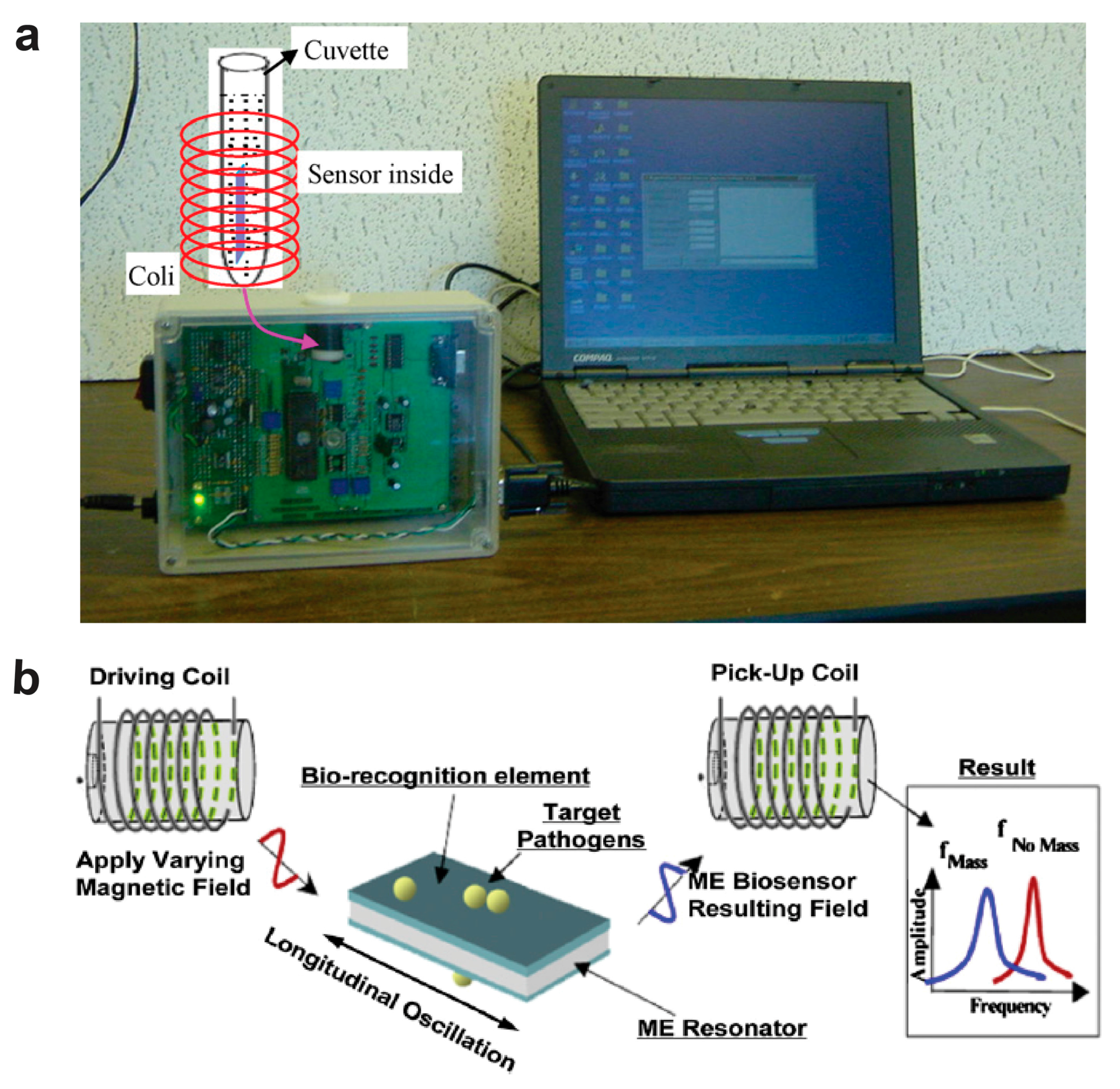 Sensors 17 02289 g003 Sensors 17 02289 g003