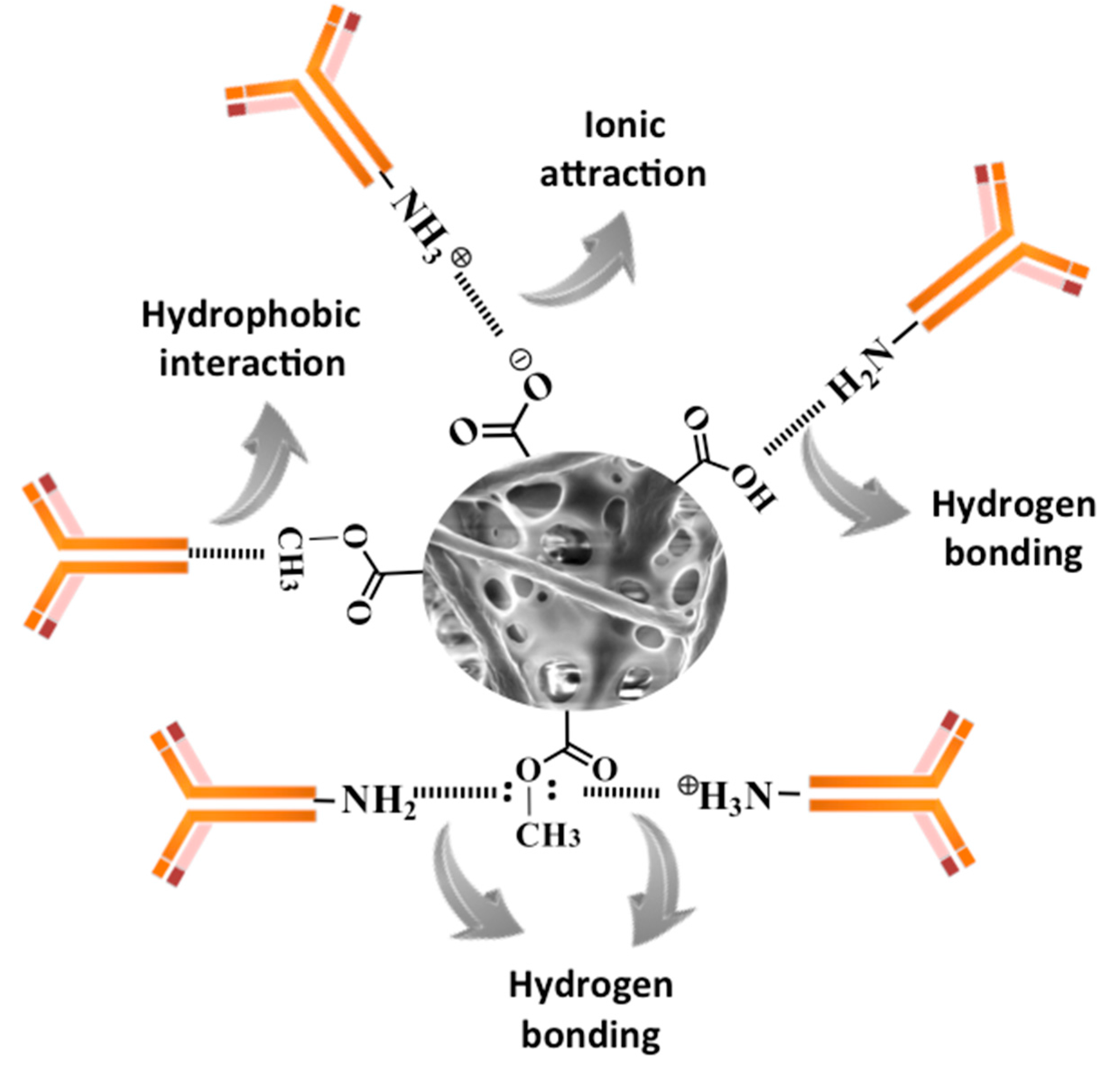 Sensors 17 02292 sch001 Sensors 17 02292 sch001