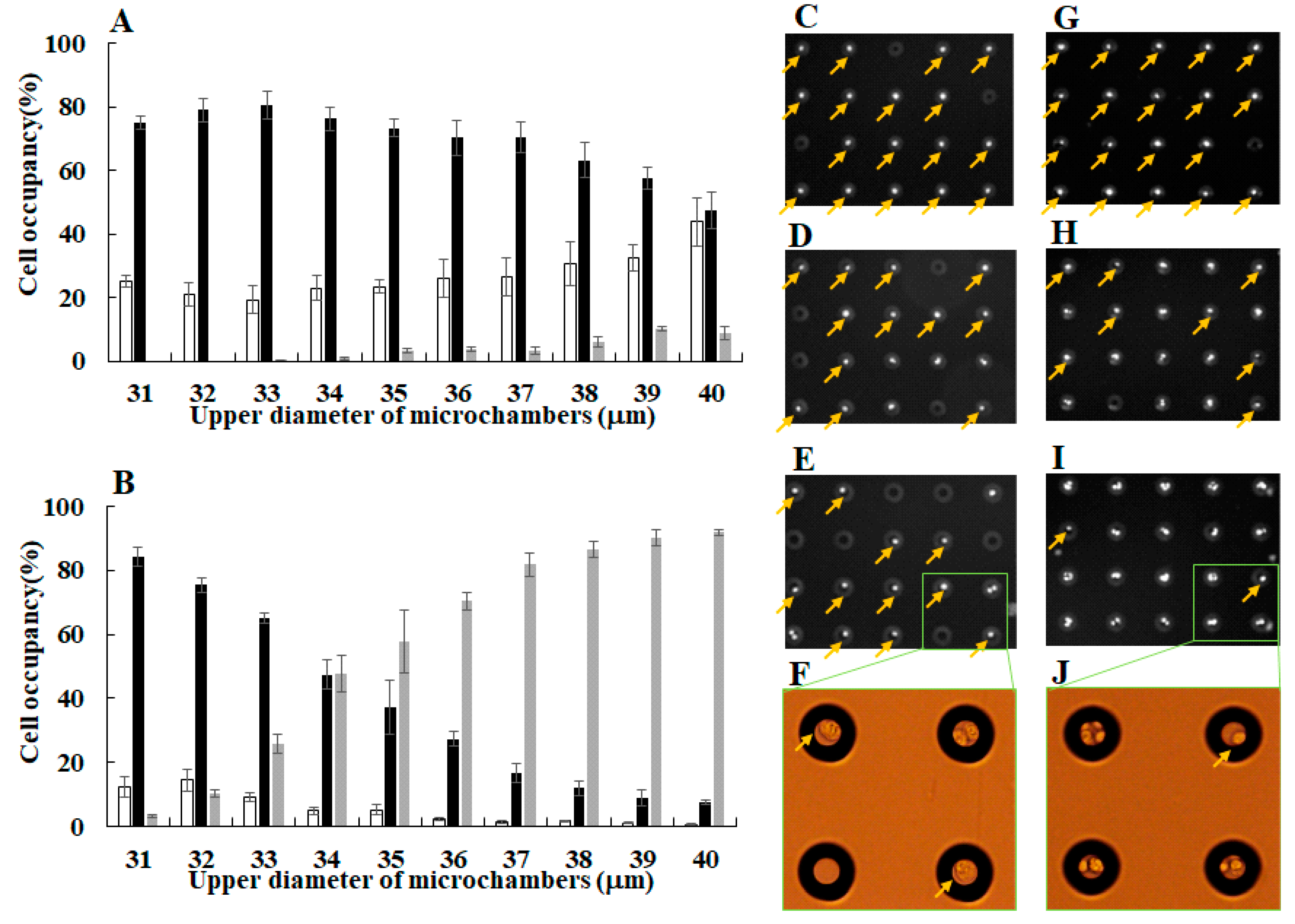 Sensors 17 02410 g005