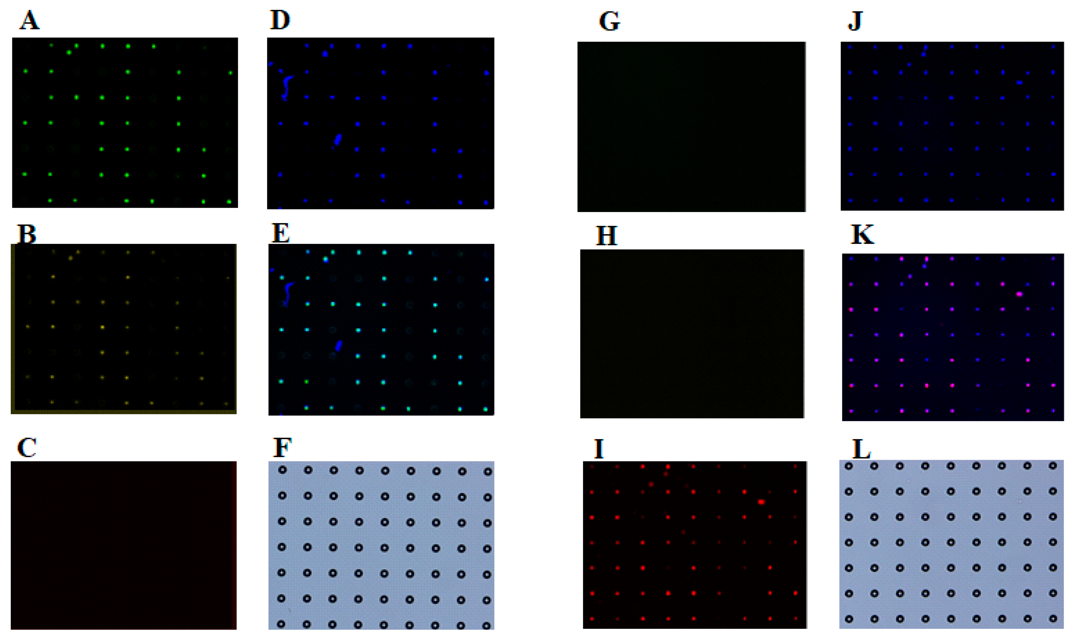 Sensors 17 02410 g006