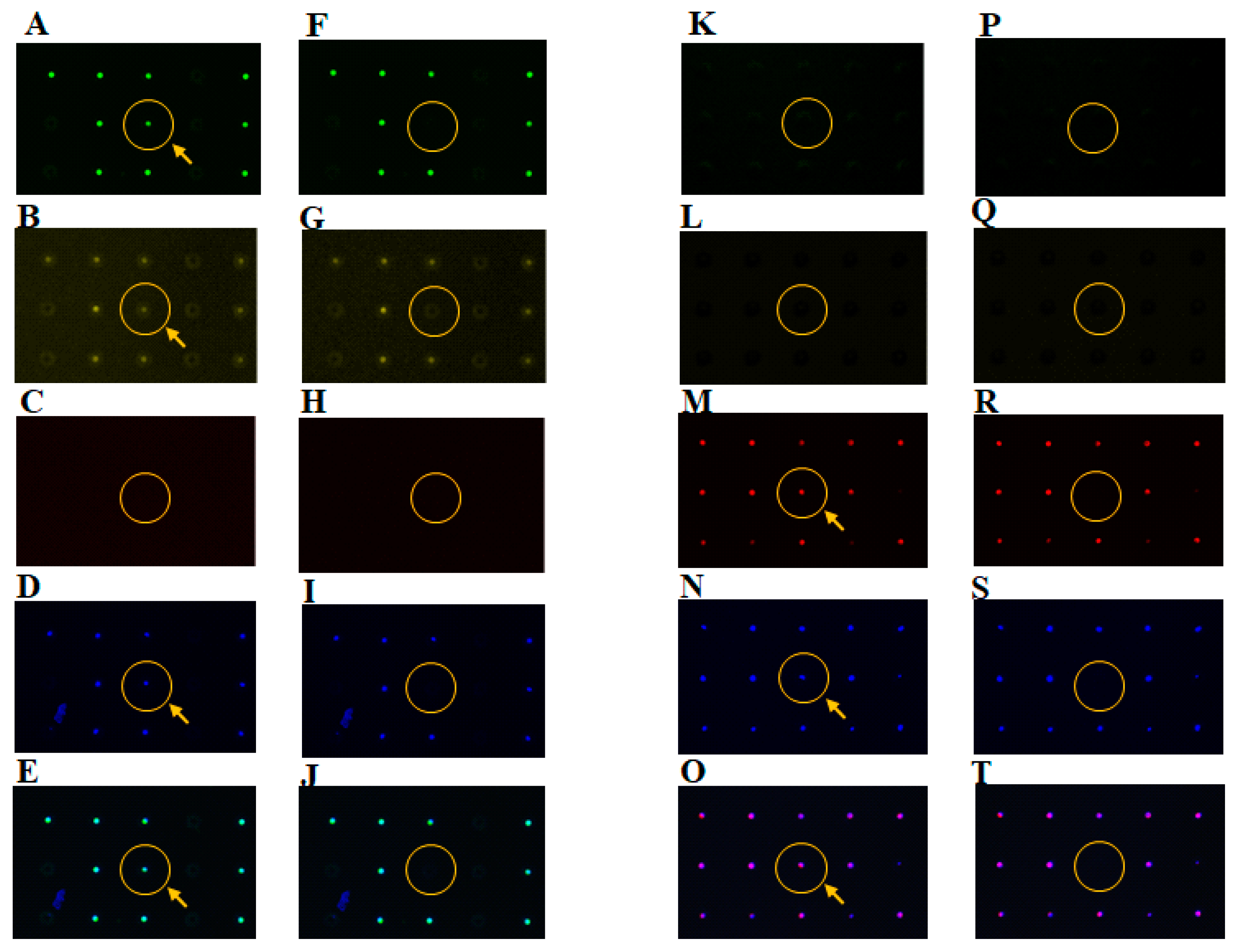 Sensors 17 02410 g007