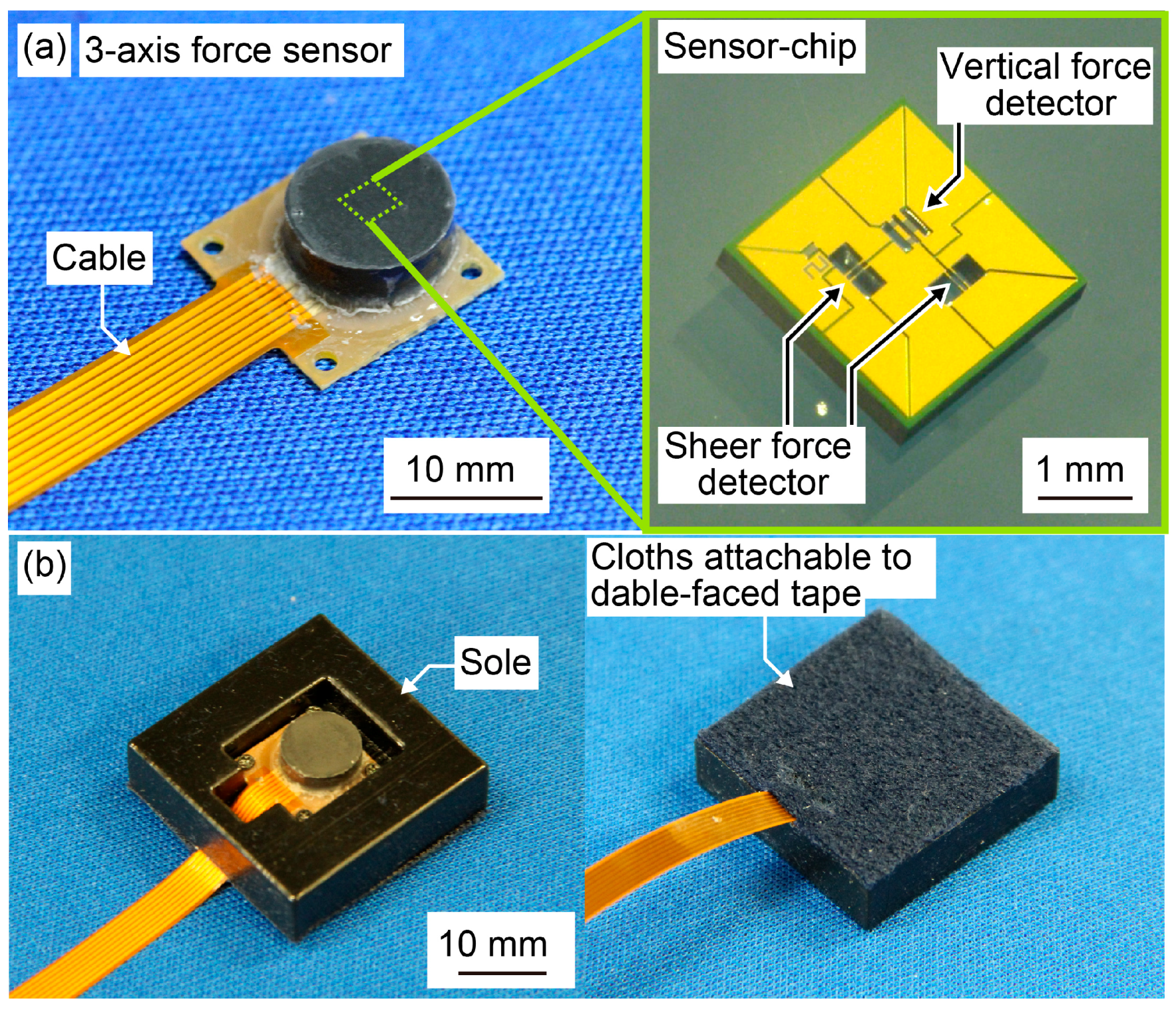 Sensors 17 02431 g001