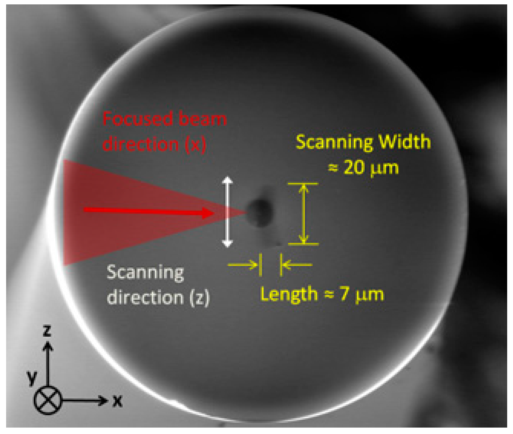 Sensors 17 02519 g003