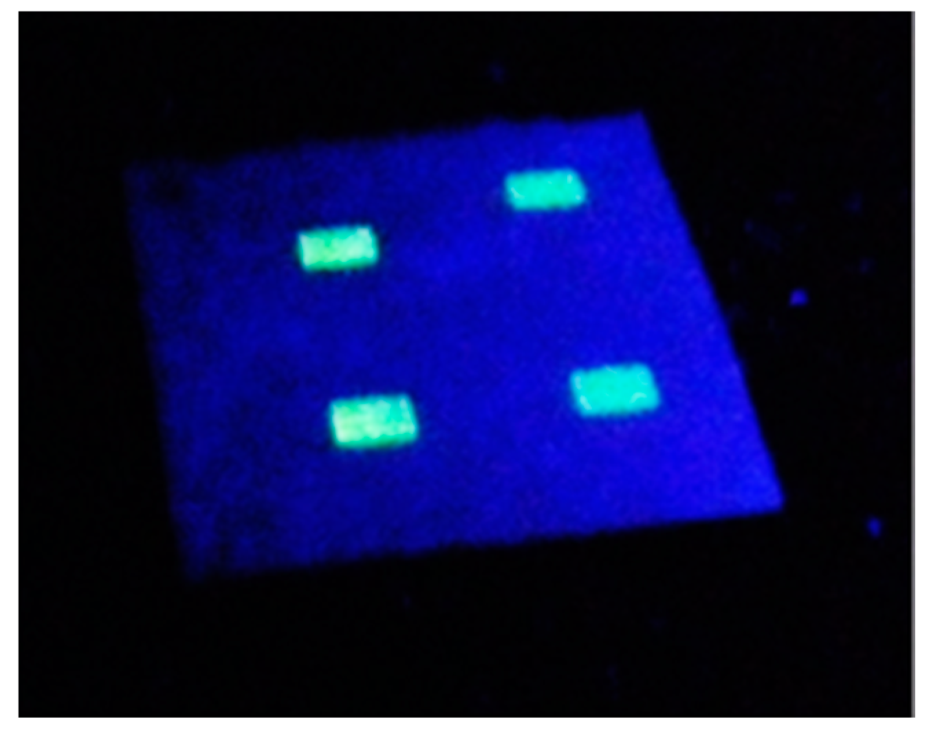 Sensors 17 02532 g010