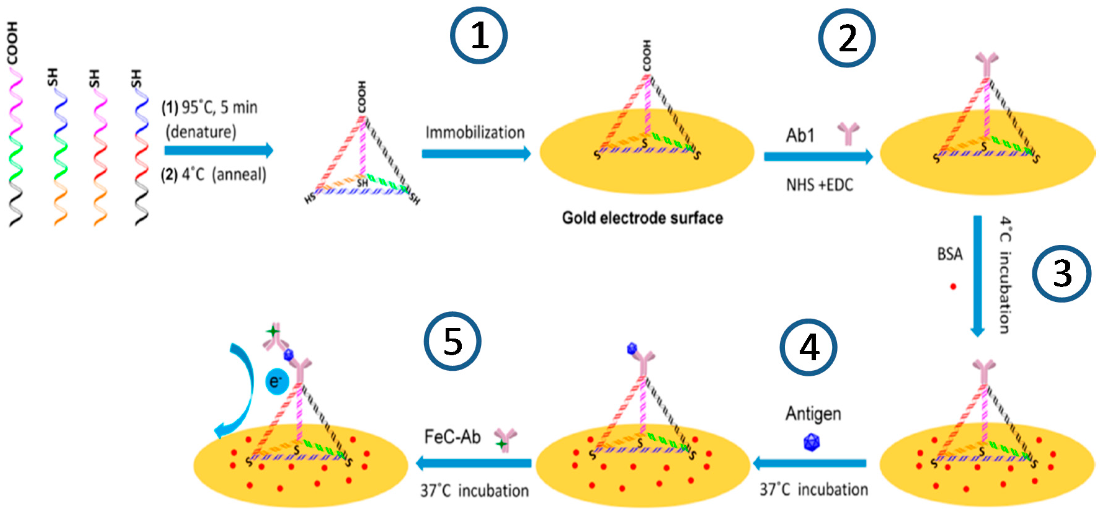 Sensors 17 02533 g002