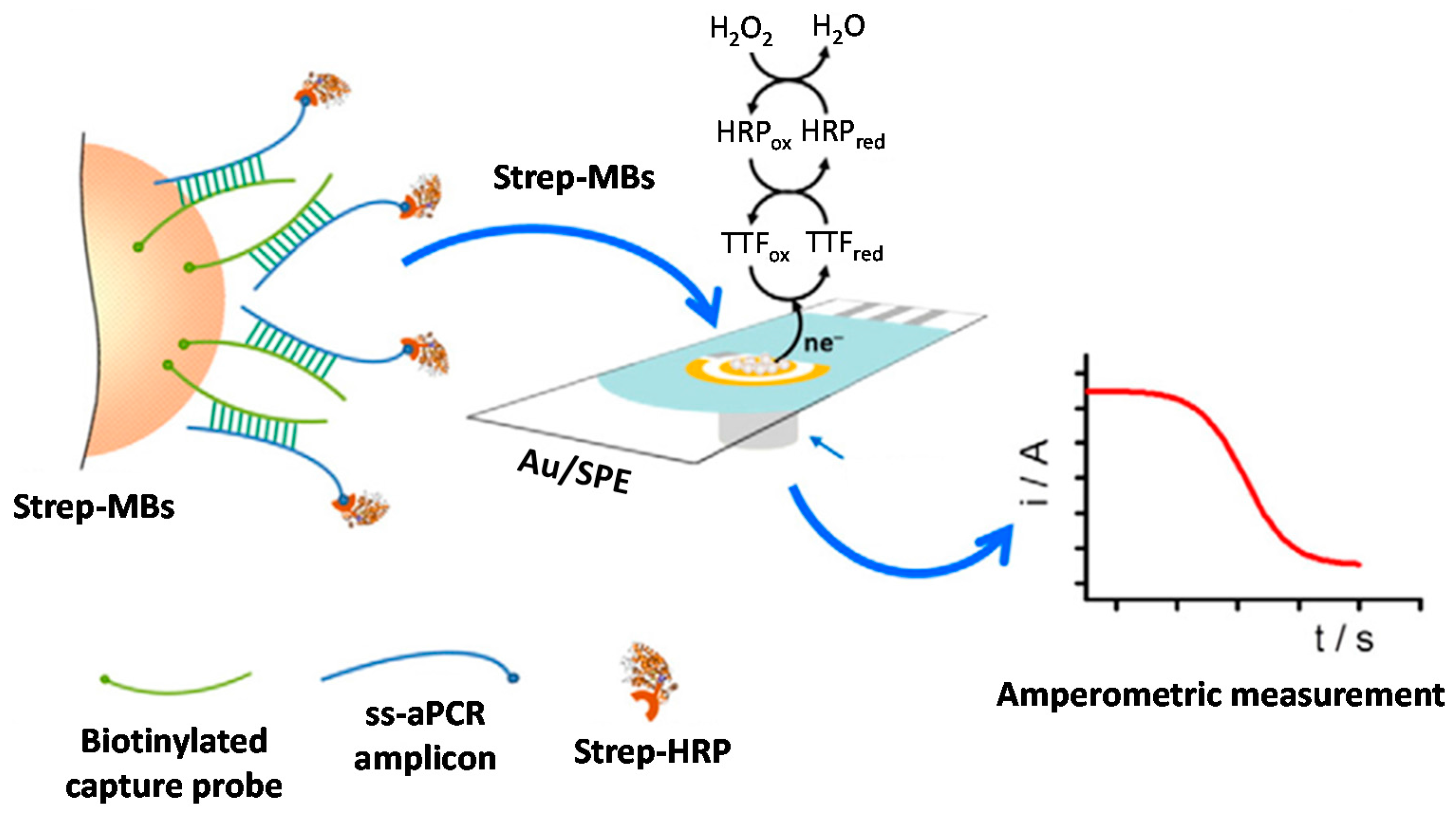 Sensors 17 02533 g005