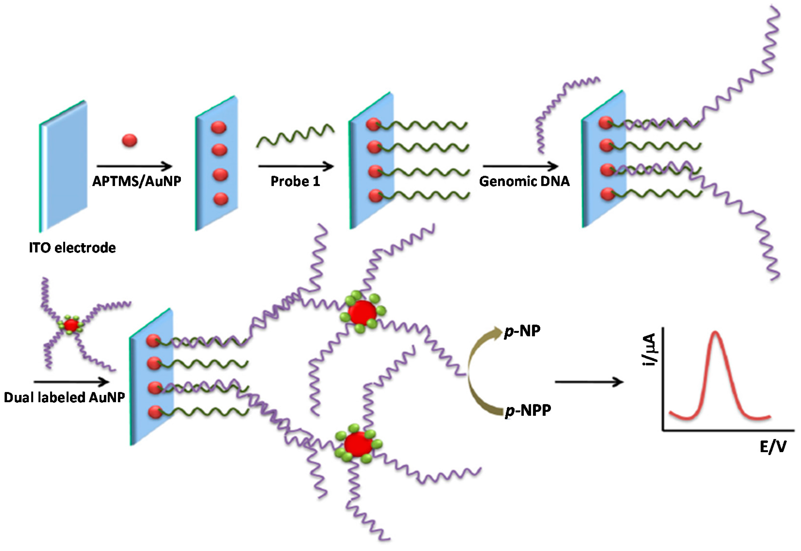 Sensors 17 02533 g006