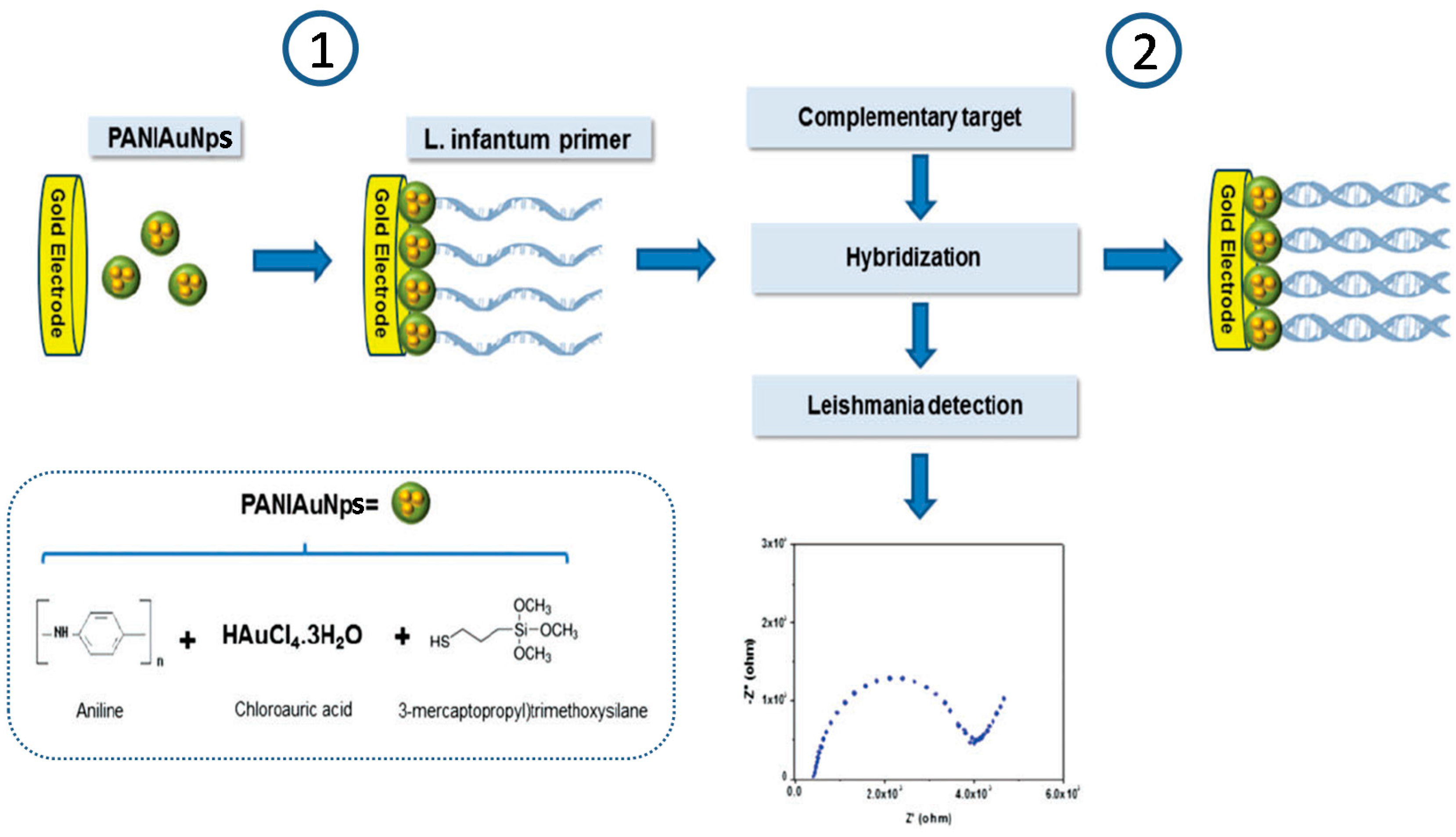Sensors 17 02533 g008