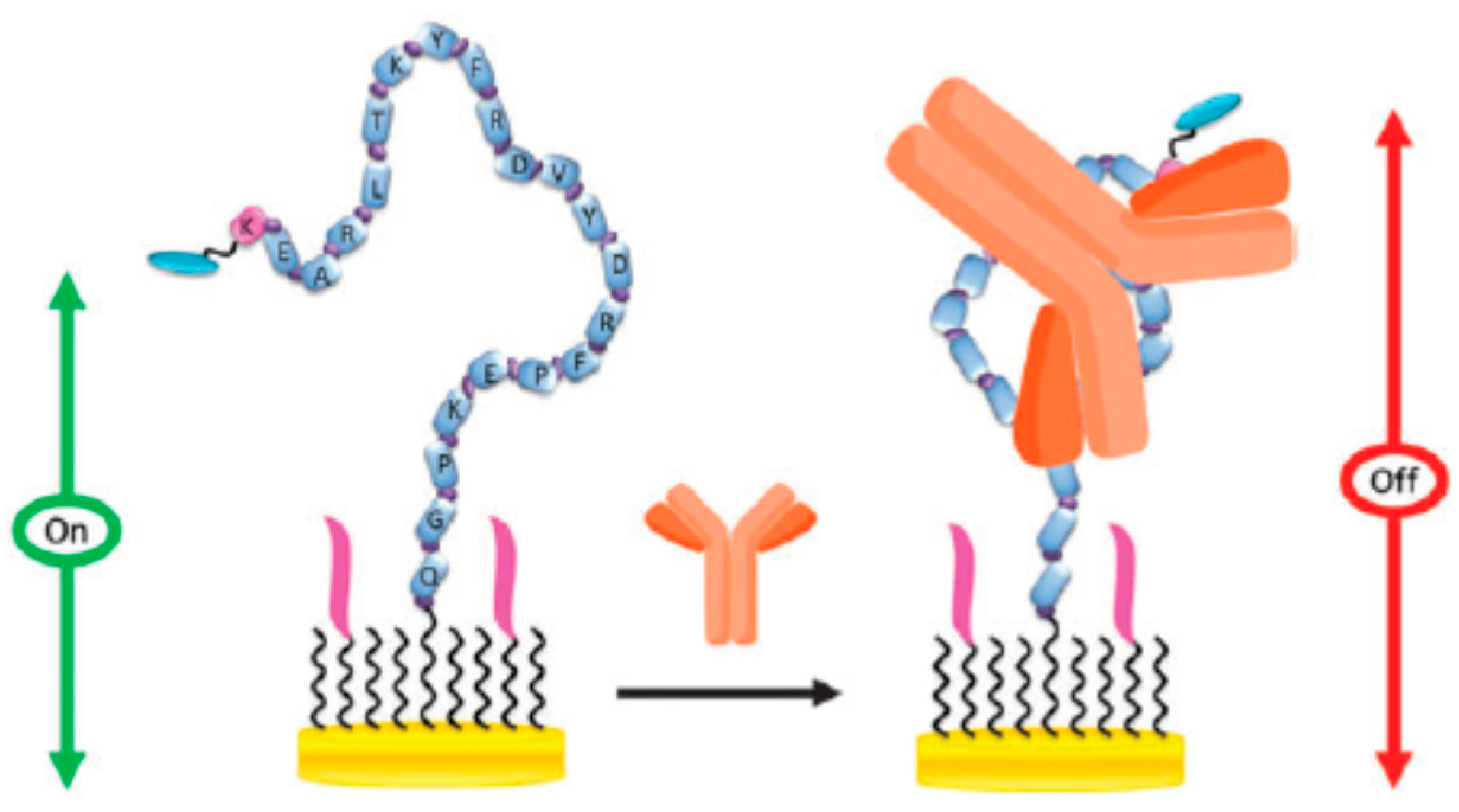 Sensors 17 02533 g012