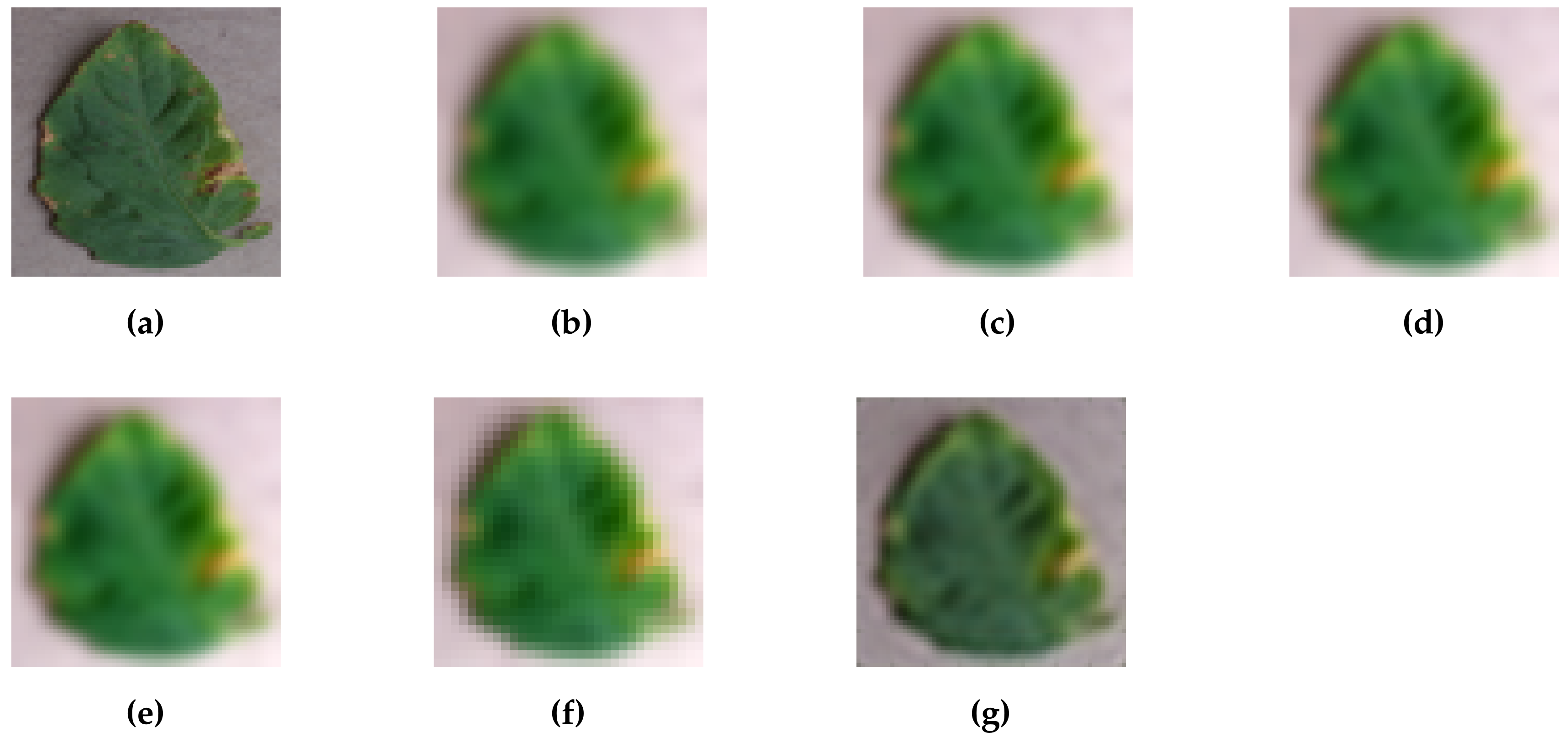Sensors 17 02557 g002