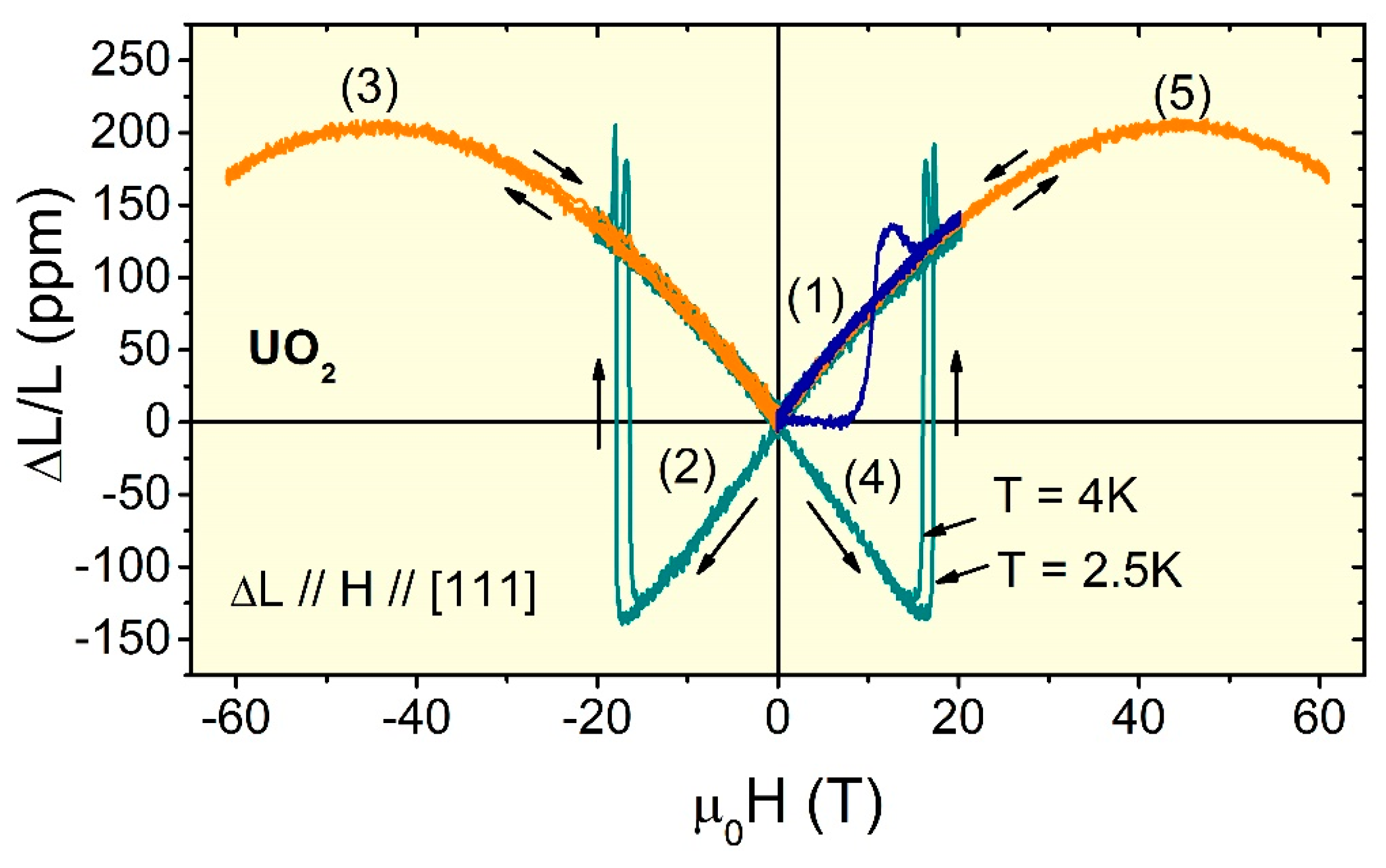 Sensors 17 02572 g001