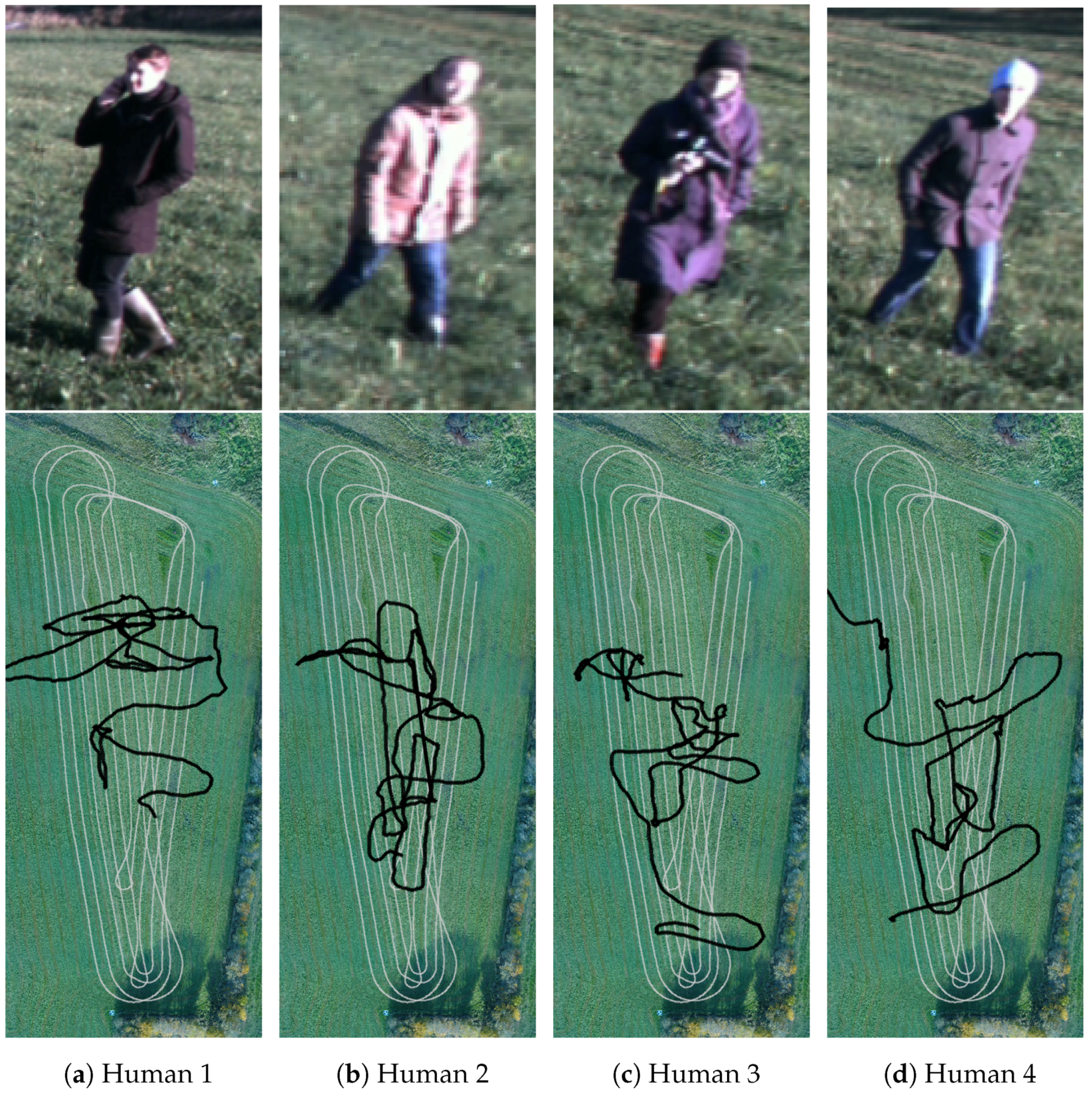 Sensors 17 02579 g007