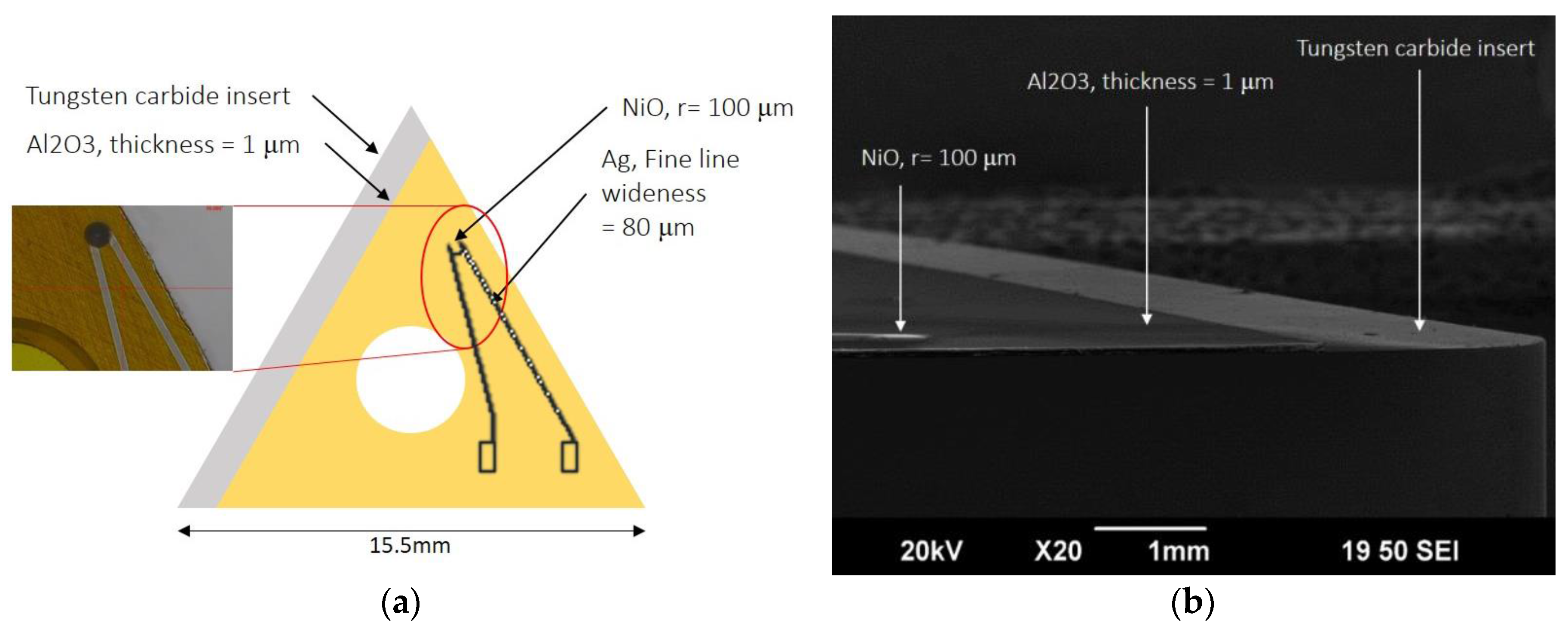 Sensors 17 02602 g003