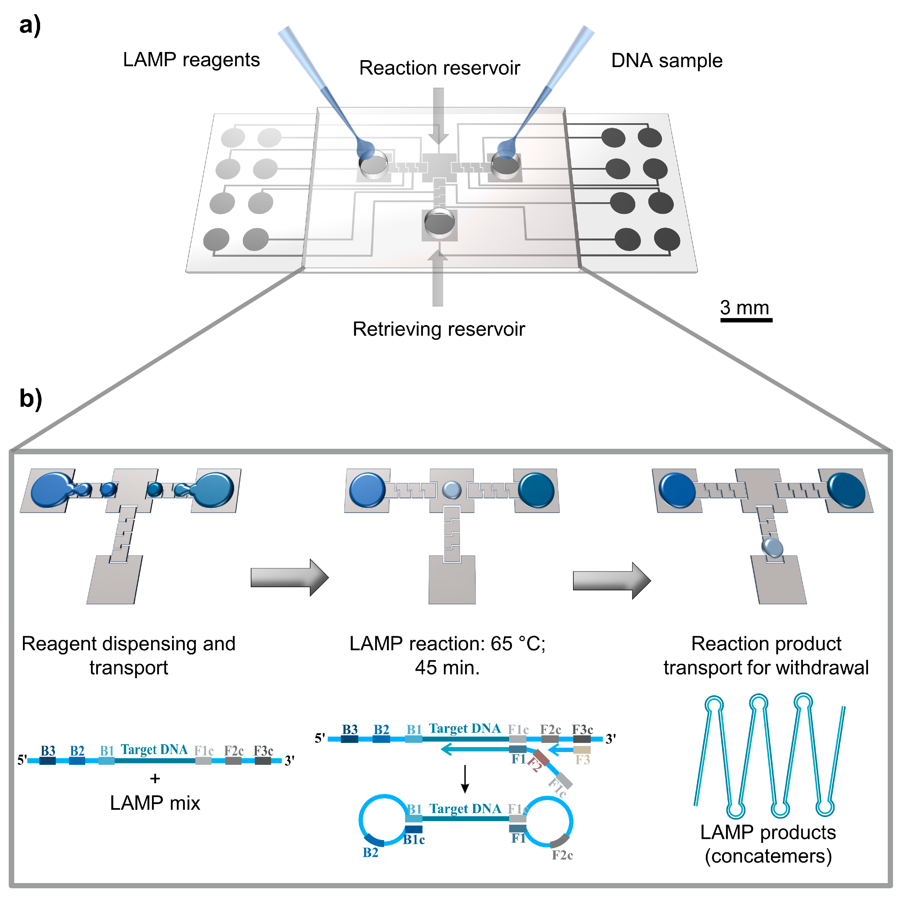 Sensors 17 02616 g001