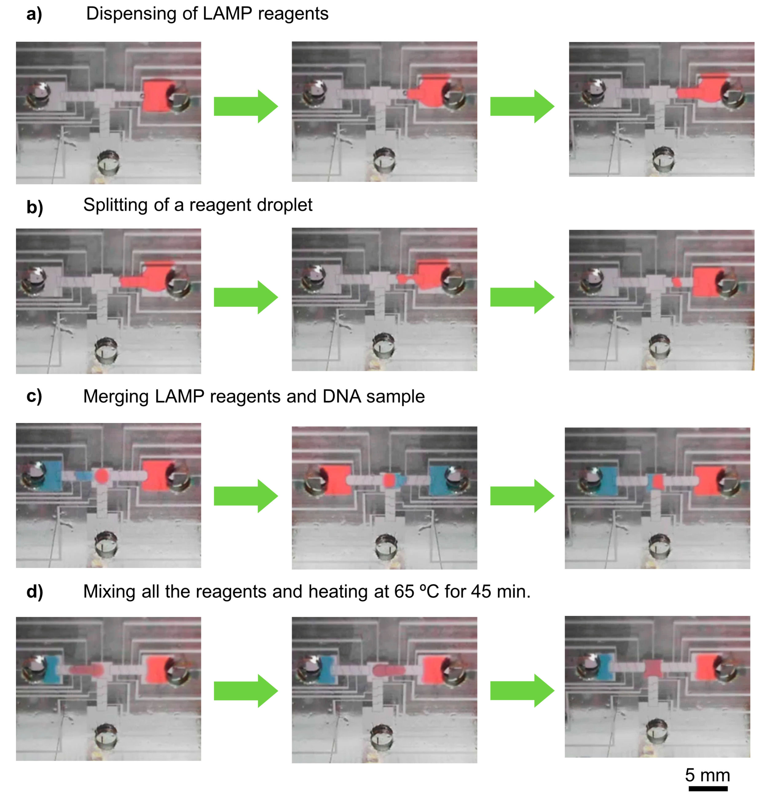 Sensors 17 02616 g002