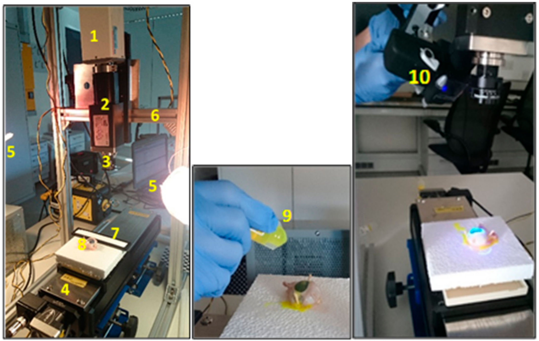 Sensors 17 02644 g002