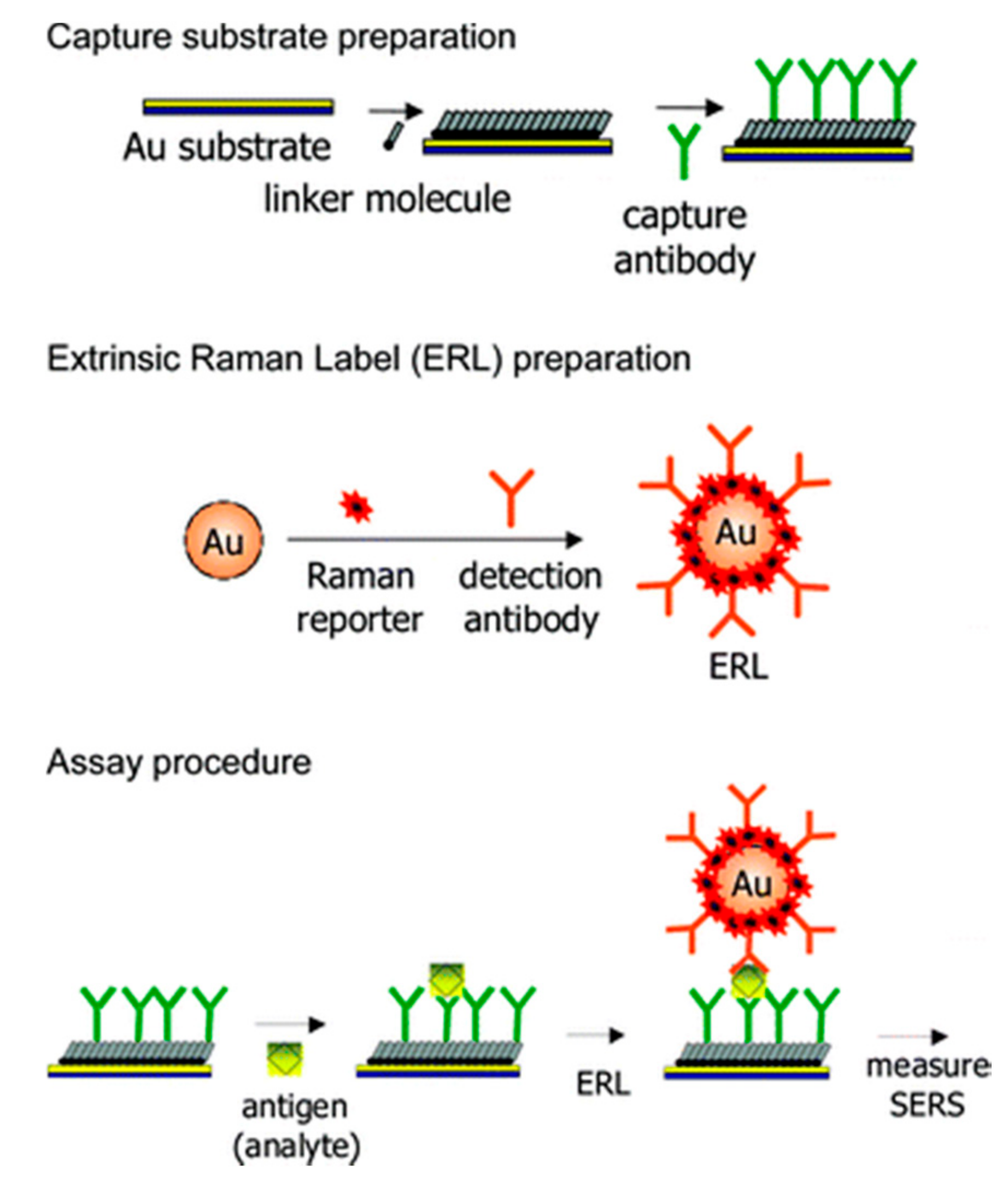 Sensors 17 02689 g004
