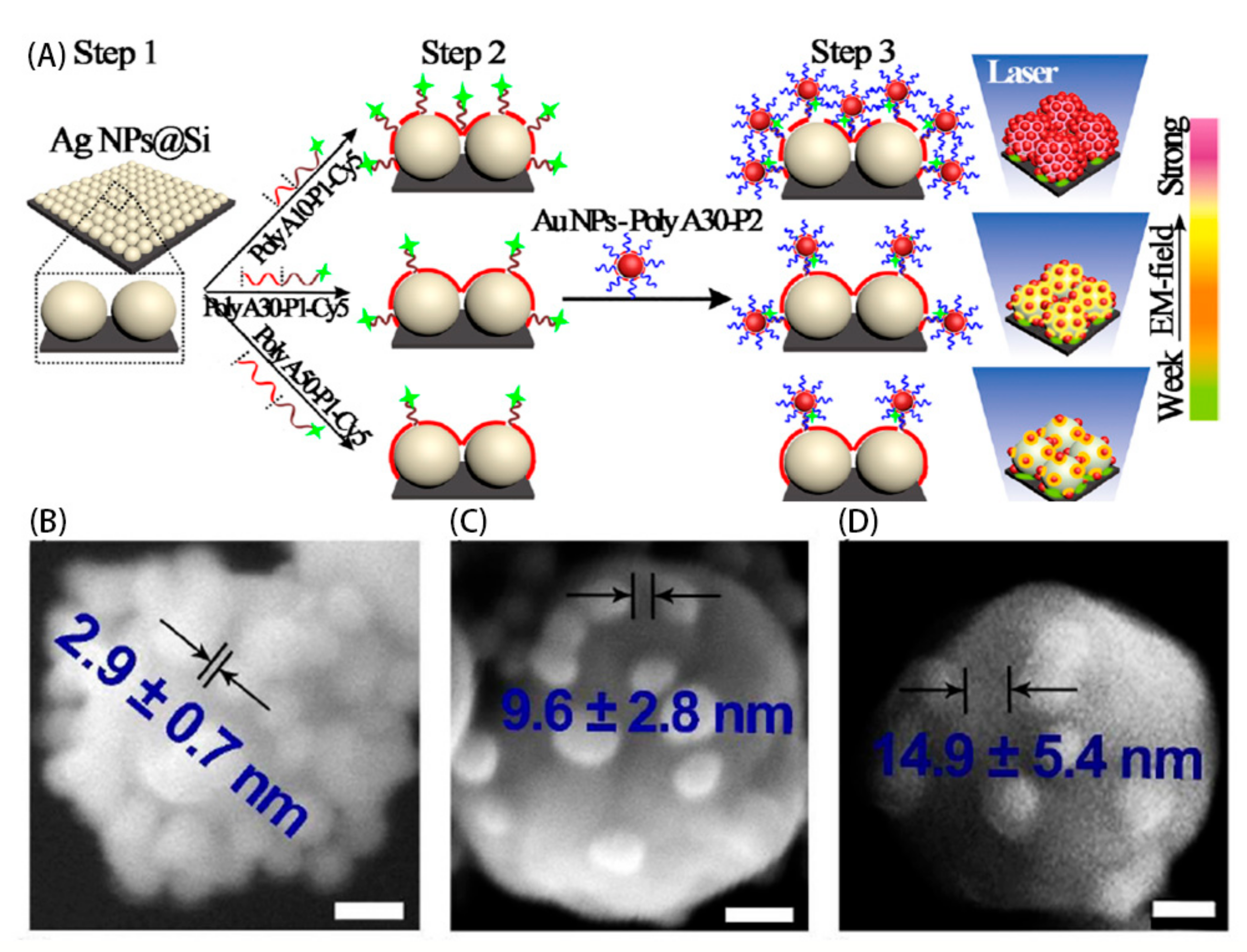 Sensors 17 02689 g006