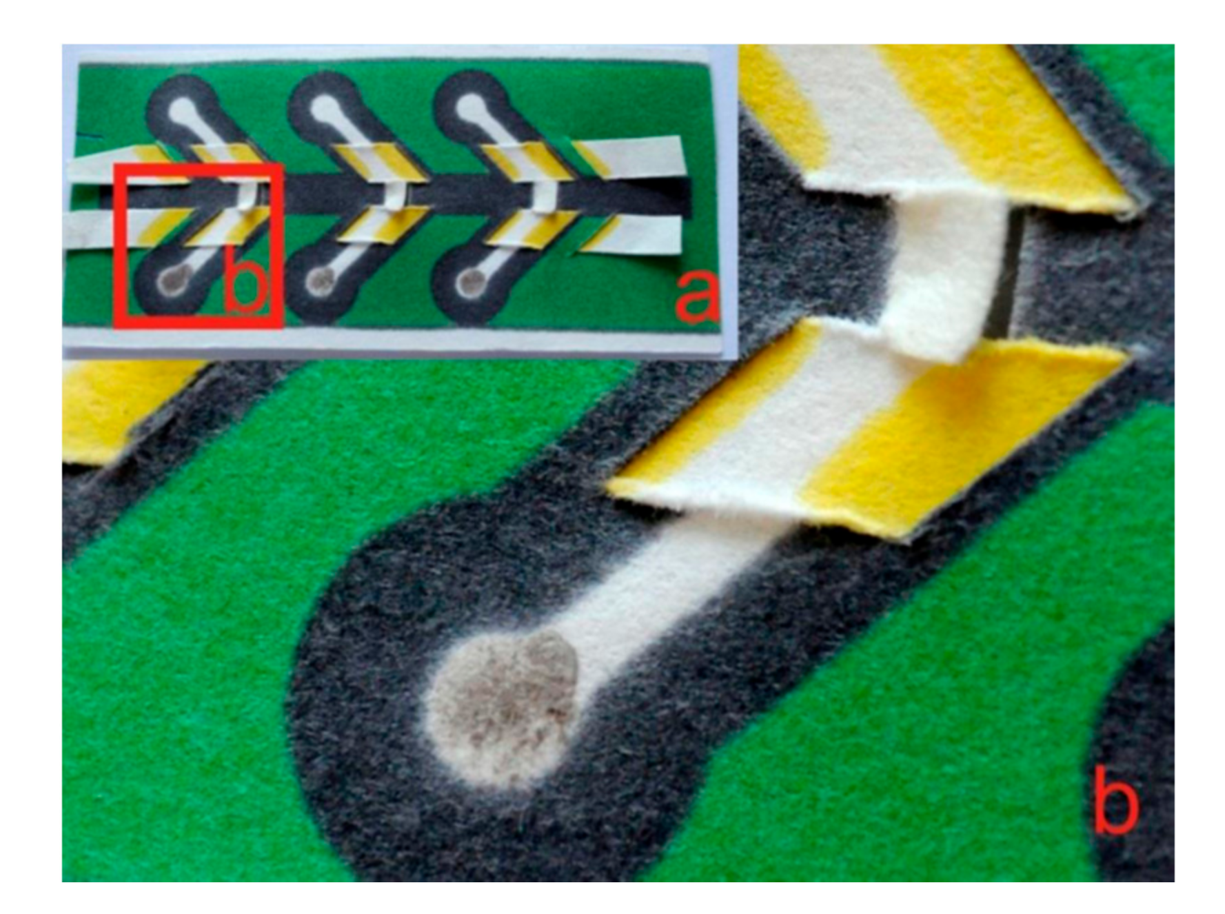 Sensors 17 02689 g014