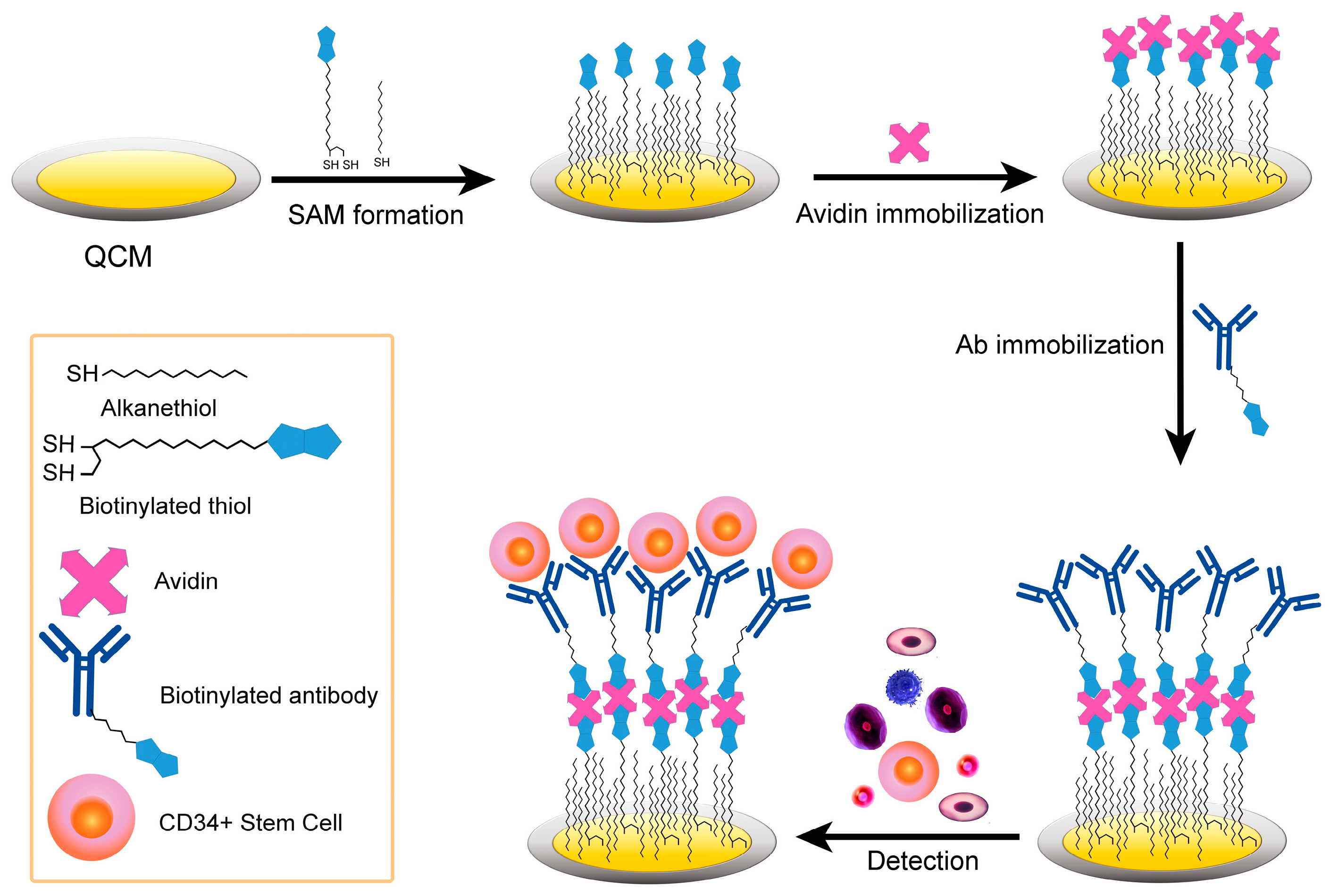 Sensors 17 02747 g001