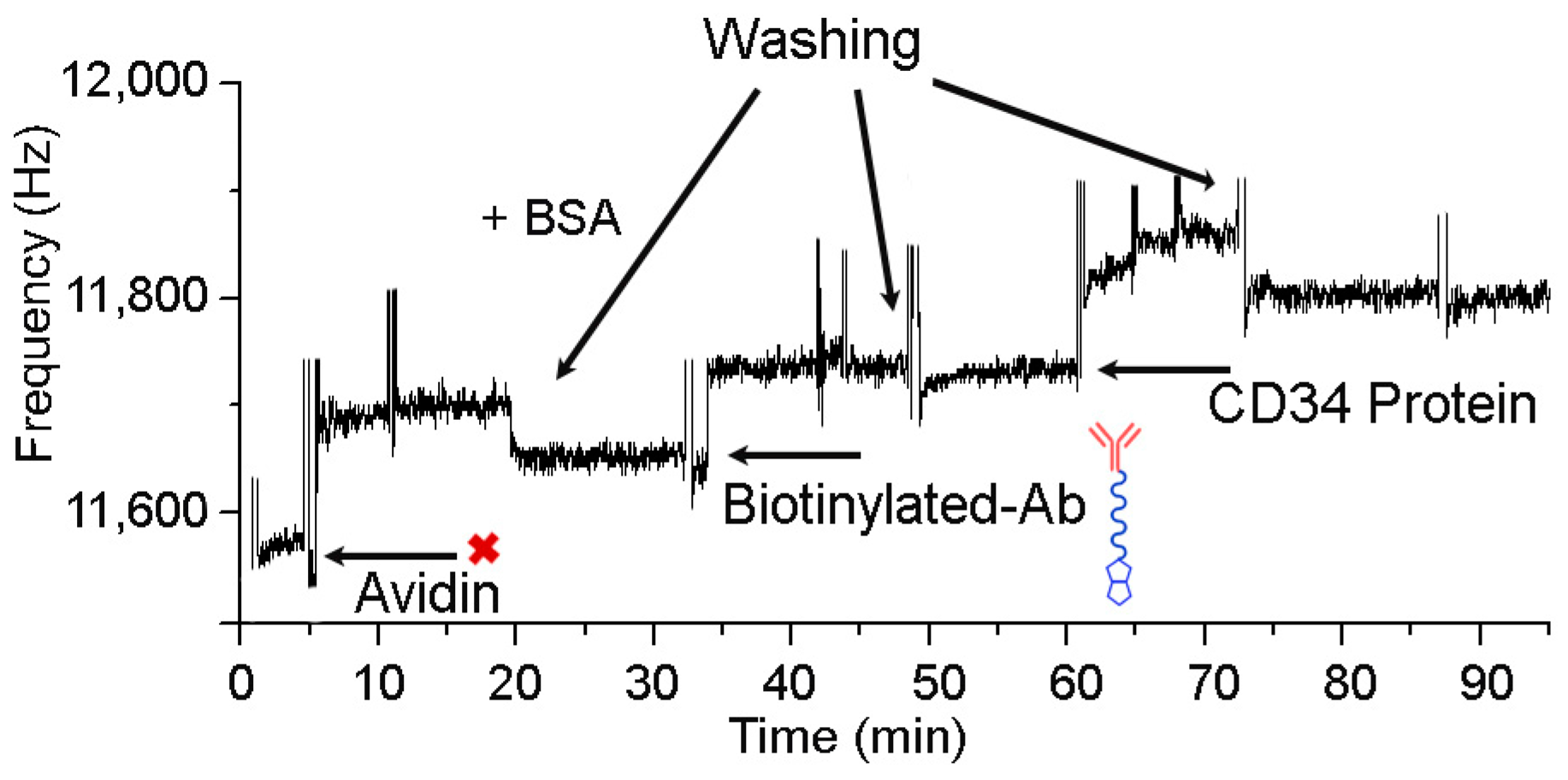 Sensors 17 02747 g005