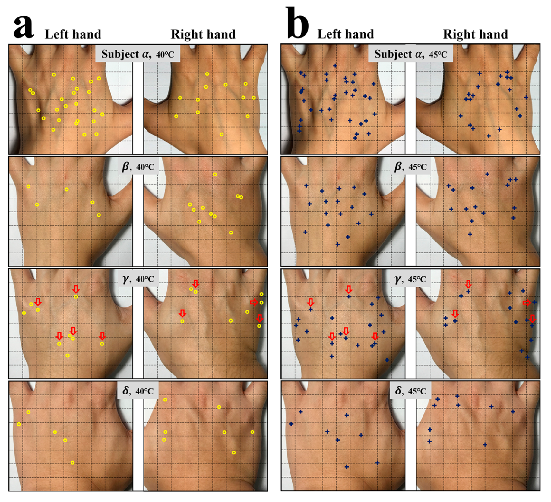 Sensors 17 02802 g001