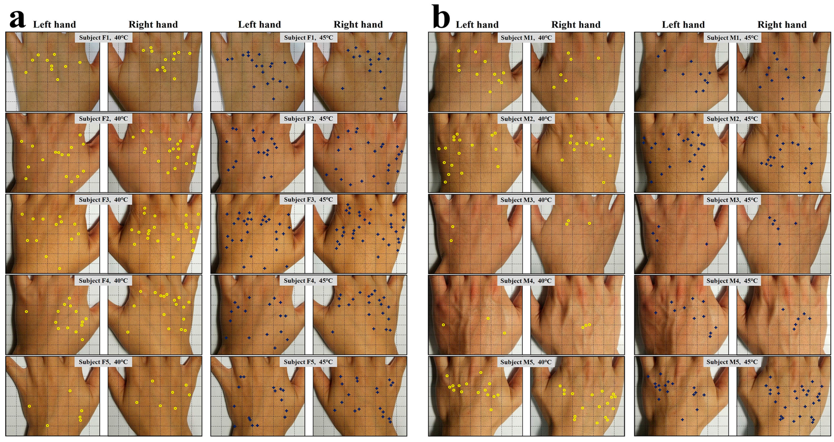 Sensors 17 02802 g004