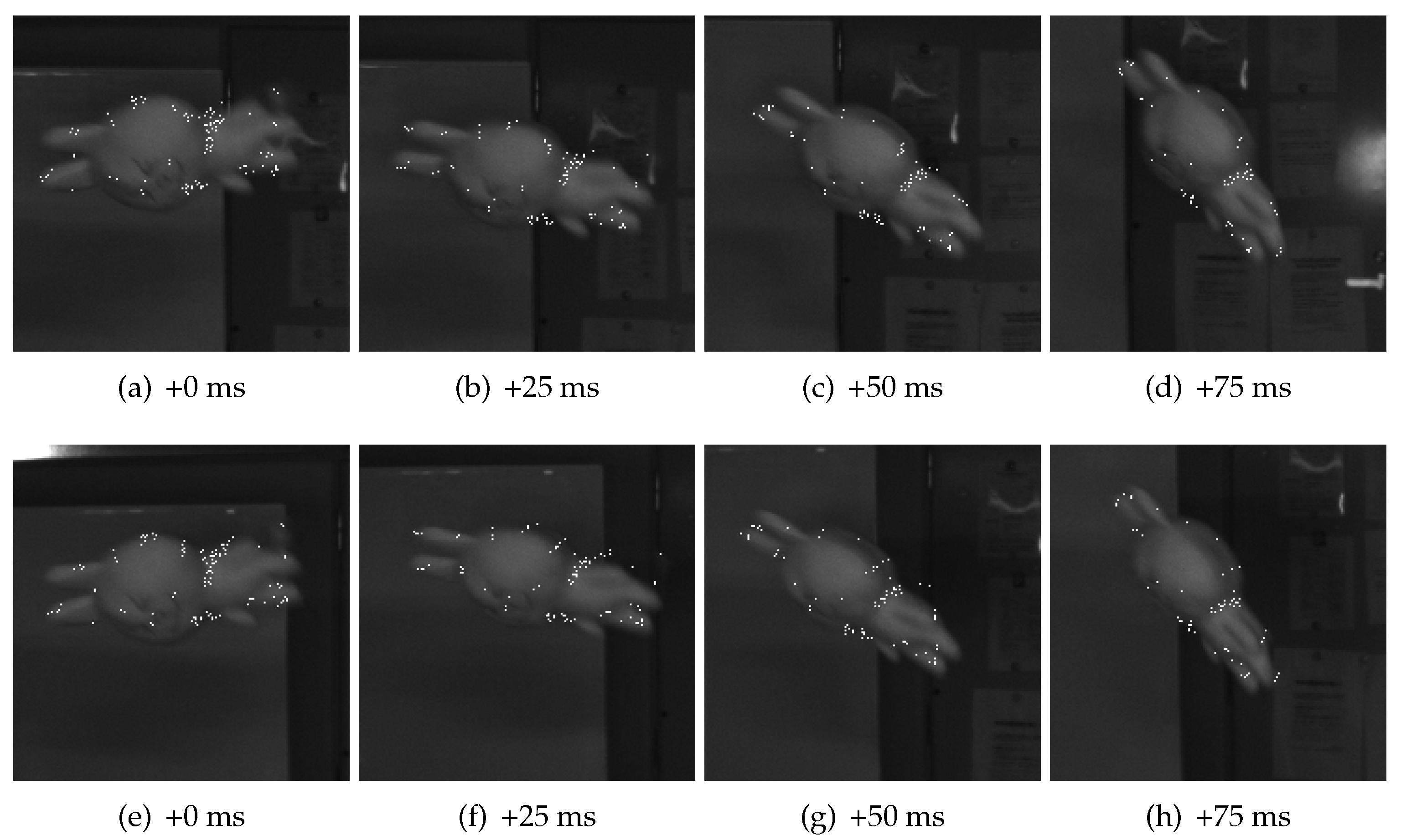 Sensors 17 02820 g009