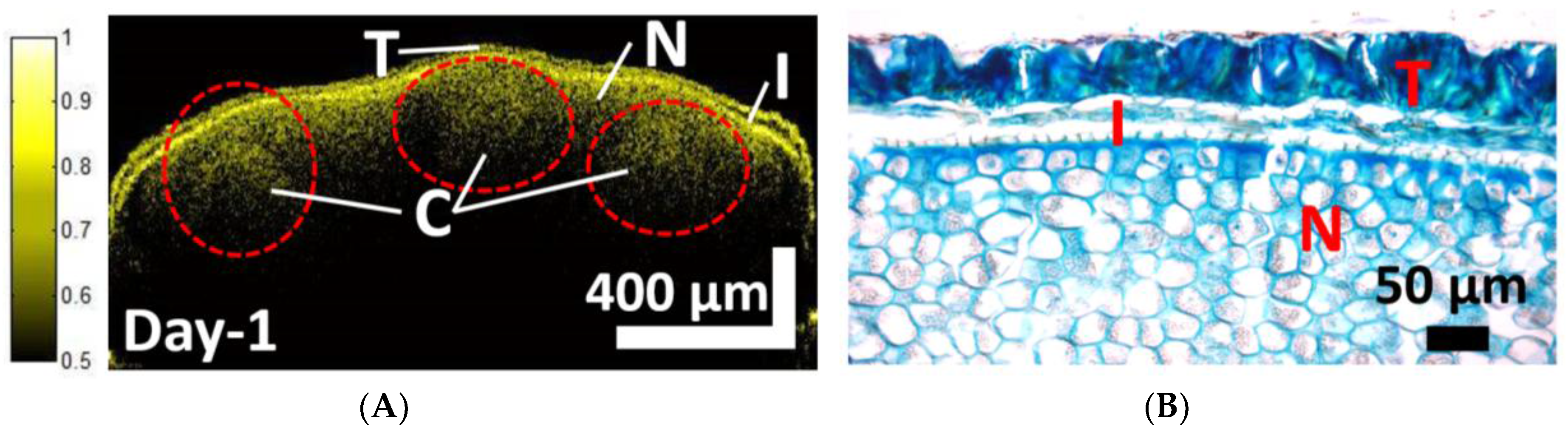 Sensors 17 02887 g002