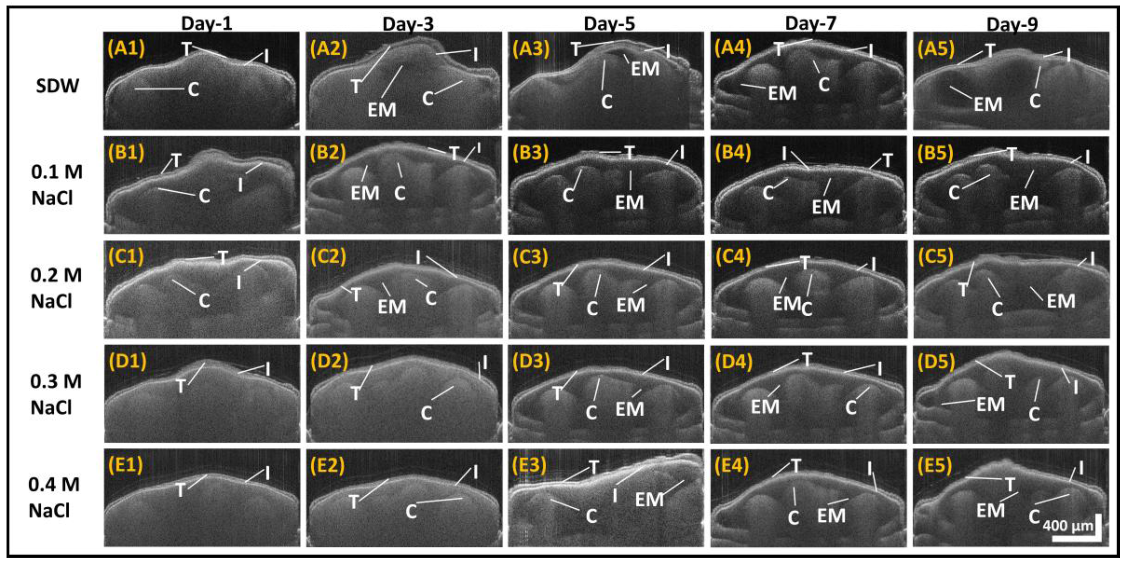 Sensors 17 02887 g003