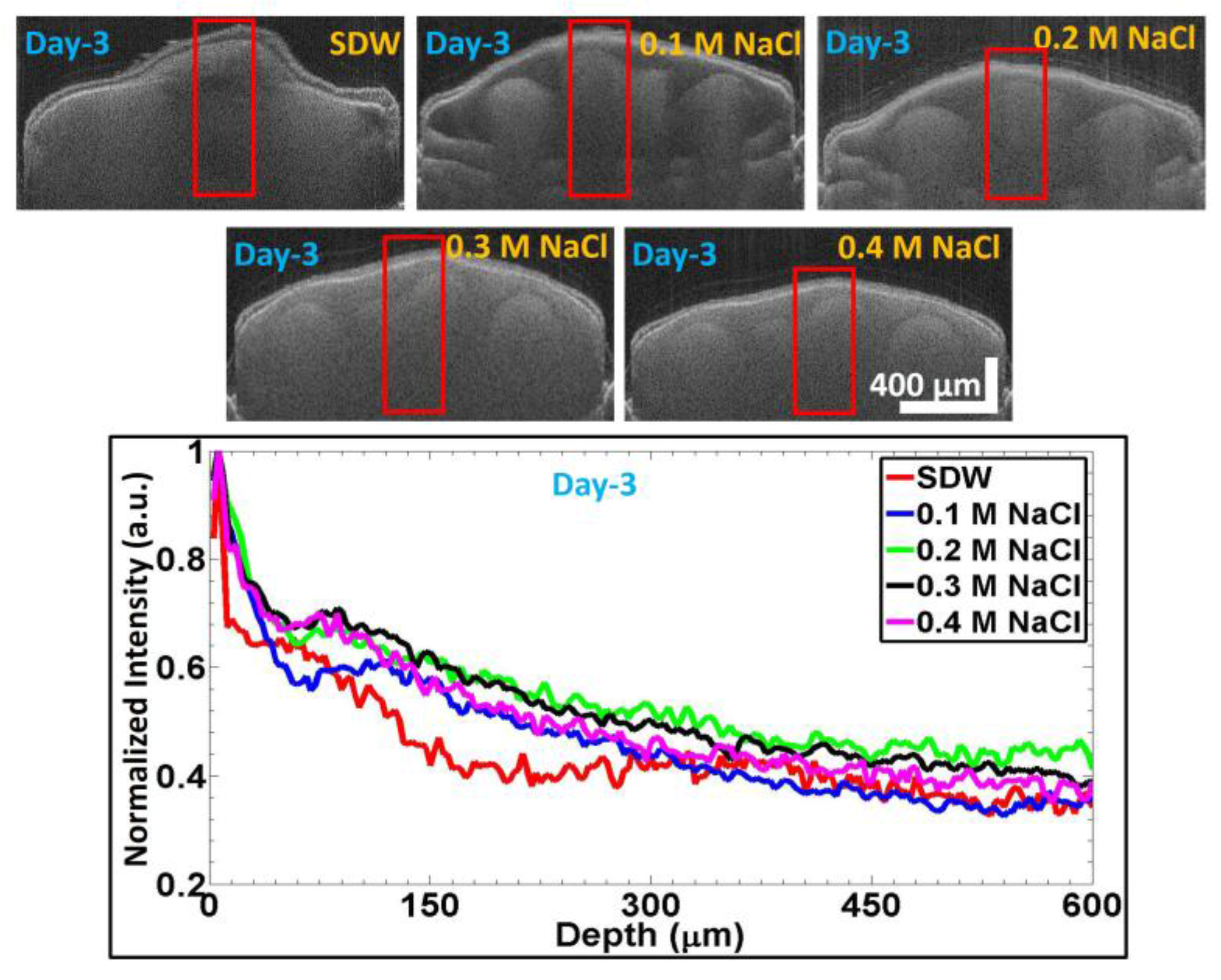 Sensors 17 02887 g005