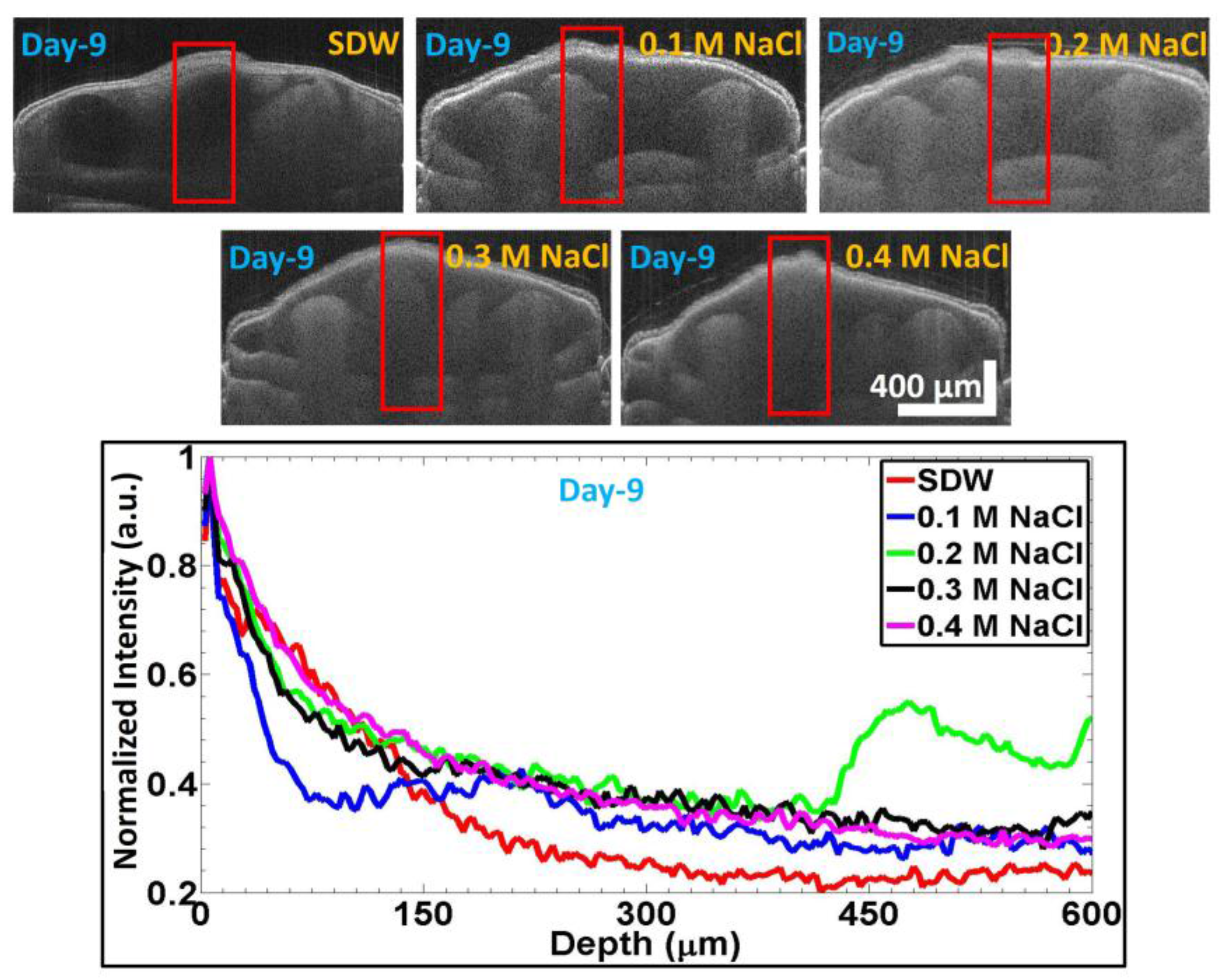 Sensors 17 02887 g006