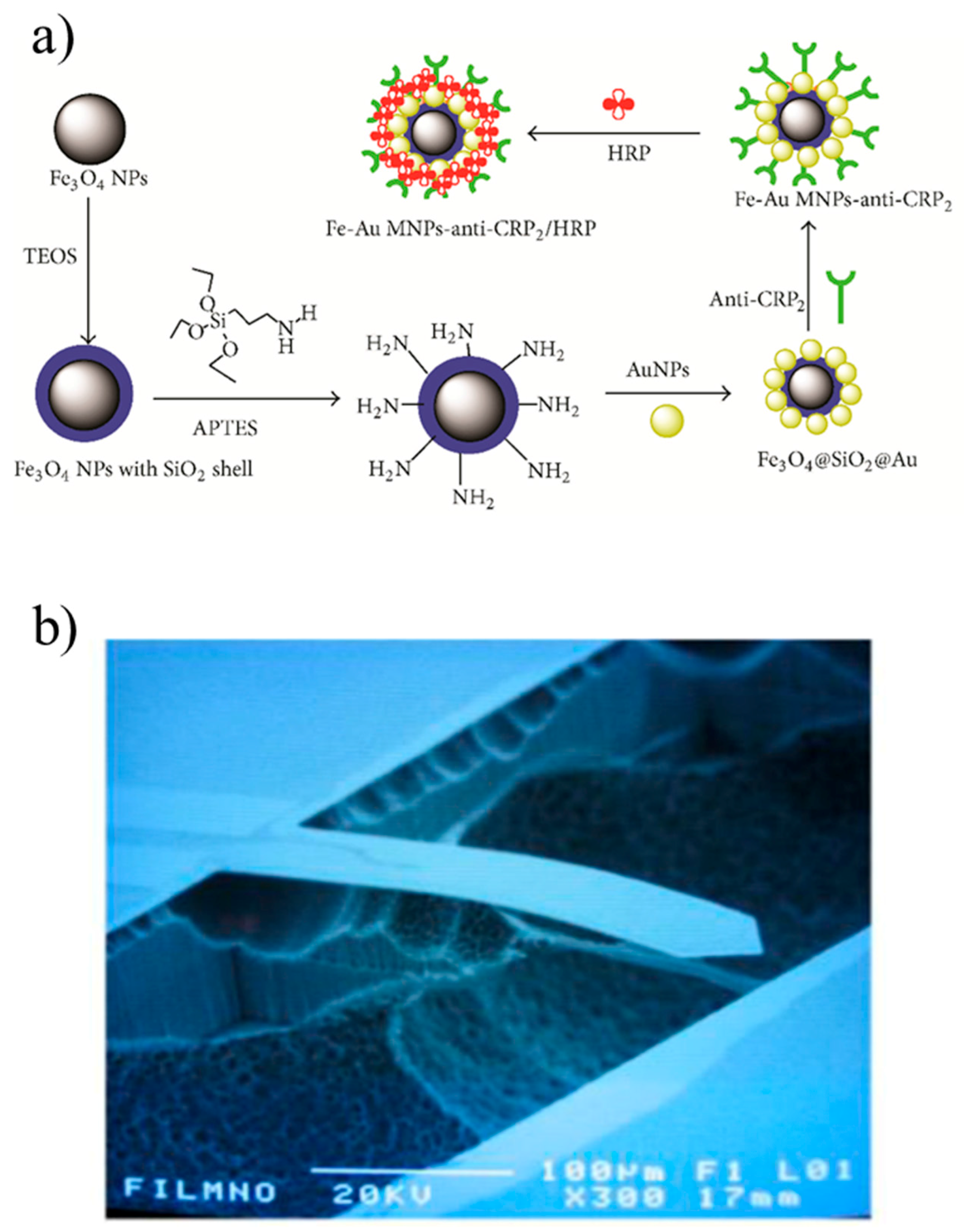 Sensors 17 02952 g004