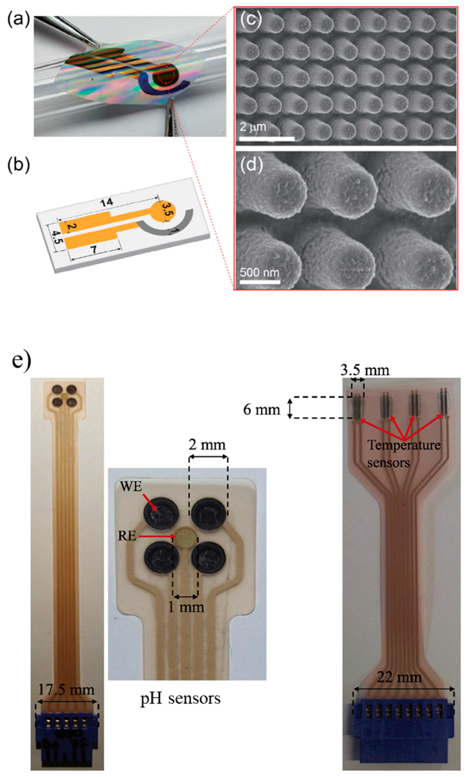Sensors 17 02952 g005