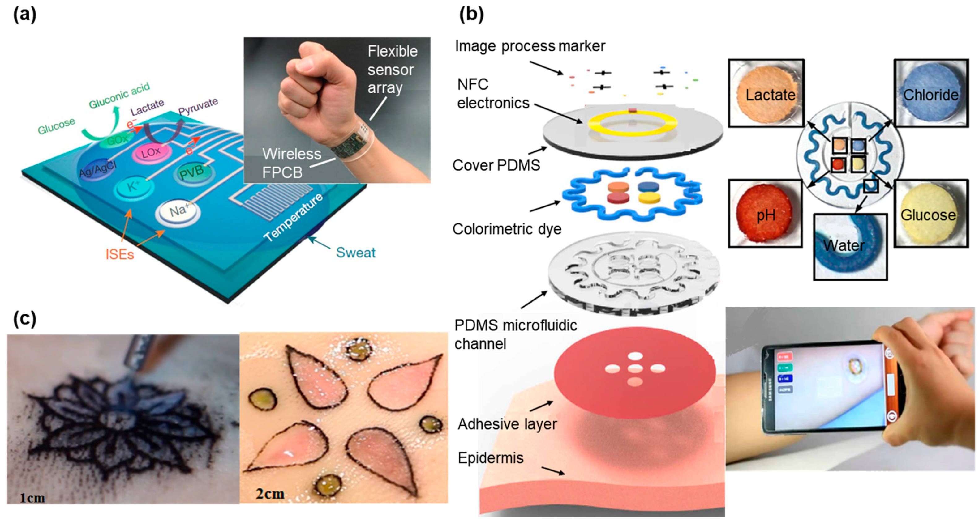 Sensors 18 00005 g003