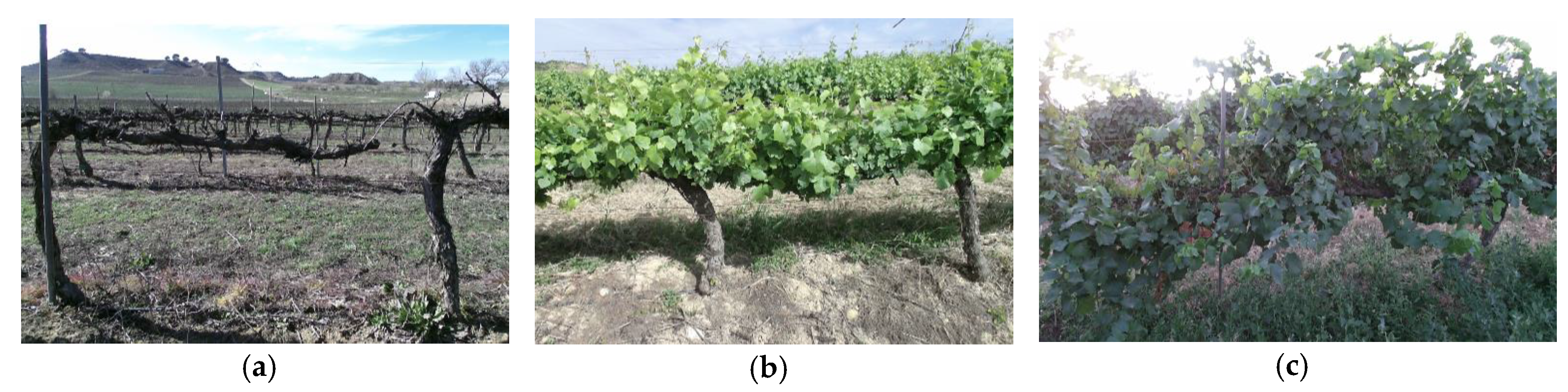 Sensors 18 00030 g014