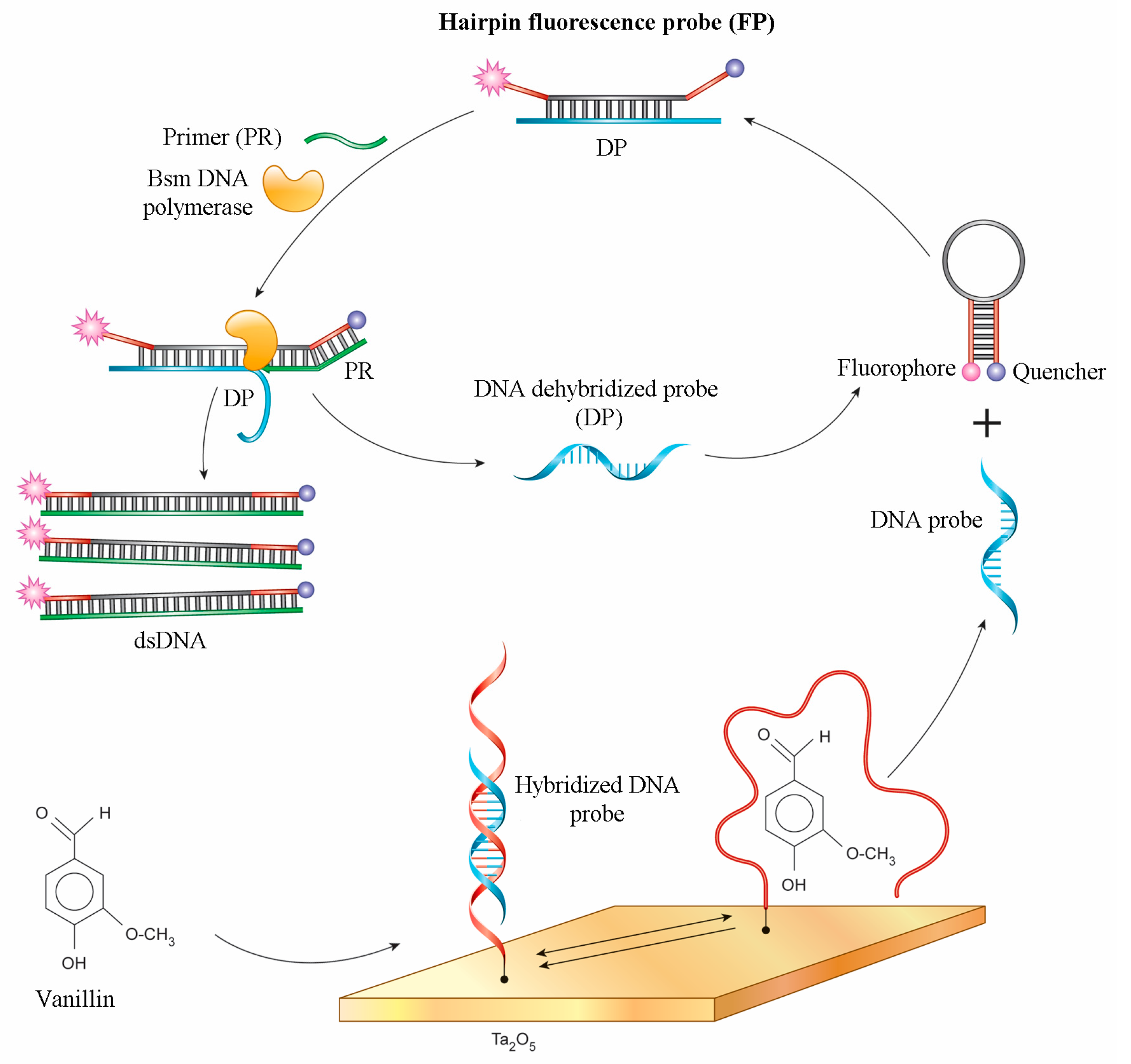 Sensors 18 00049 g001